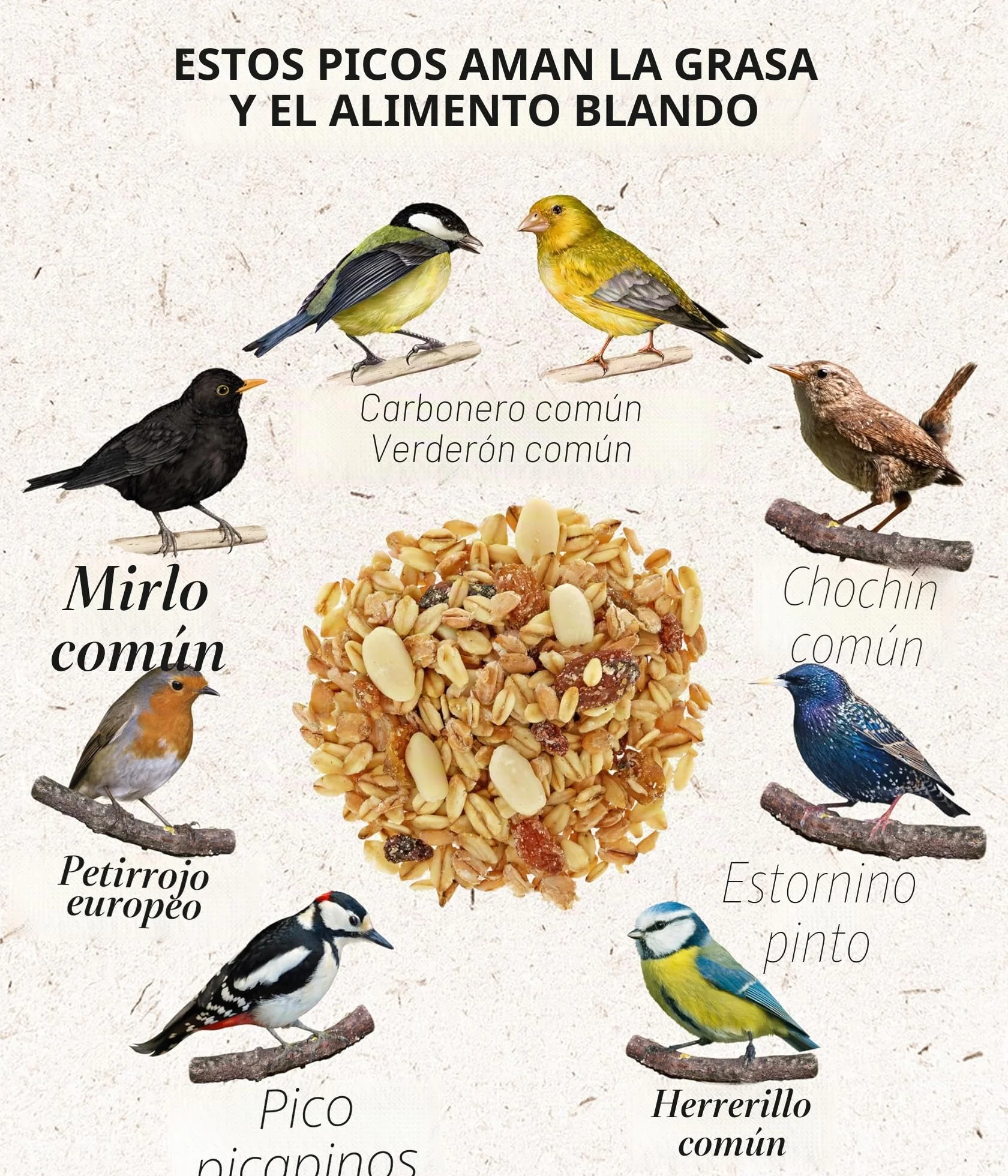 Dehner Natura Premium - Comida para Aves Silvestres (5 kg)