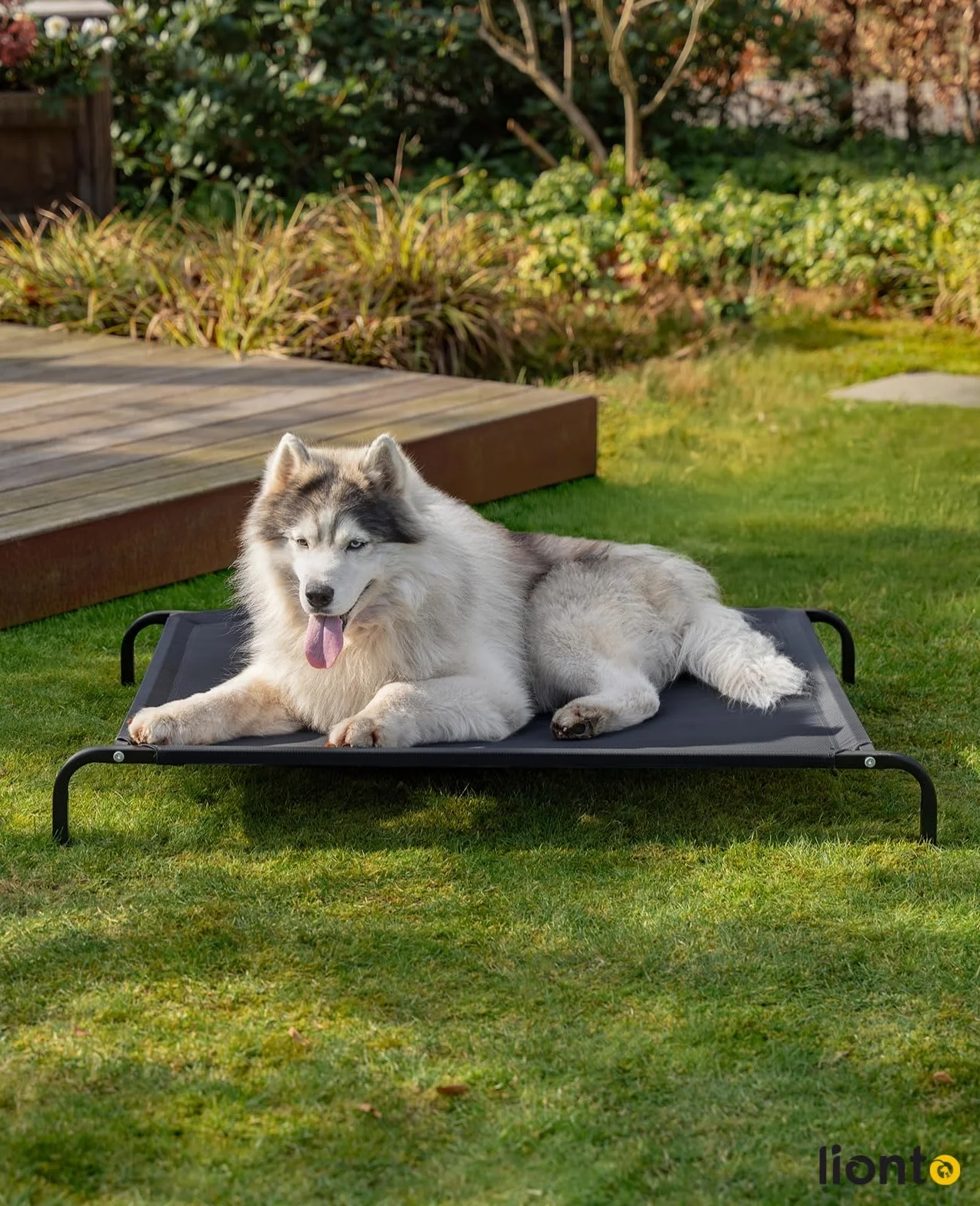 lionto Cama elevada para Perros Tejido en Textilene, (XL) 117x85 cm Negro