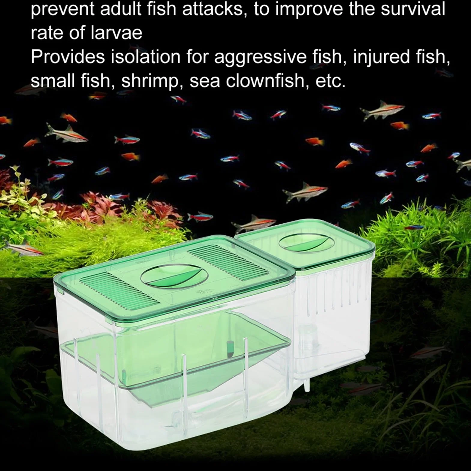 ZJchao Incubadora de Acuario, Caja de Cría para Peces Pequeños con Aislamiento de Doble Capa, Evita Ataques de Peces Adultos para Peces Heridos, Camarones, Peces Payaso, Criadores de