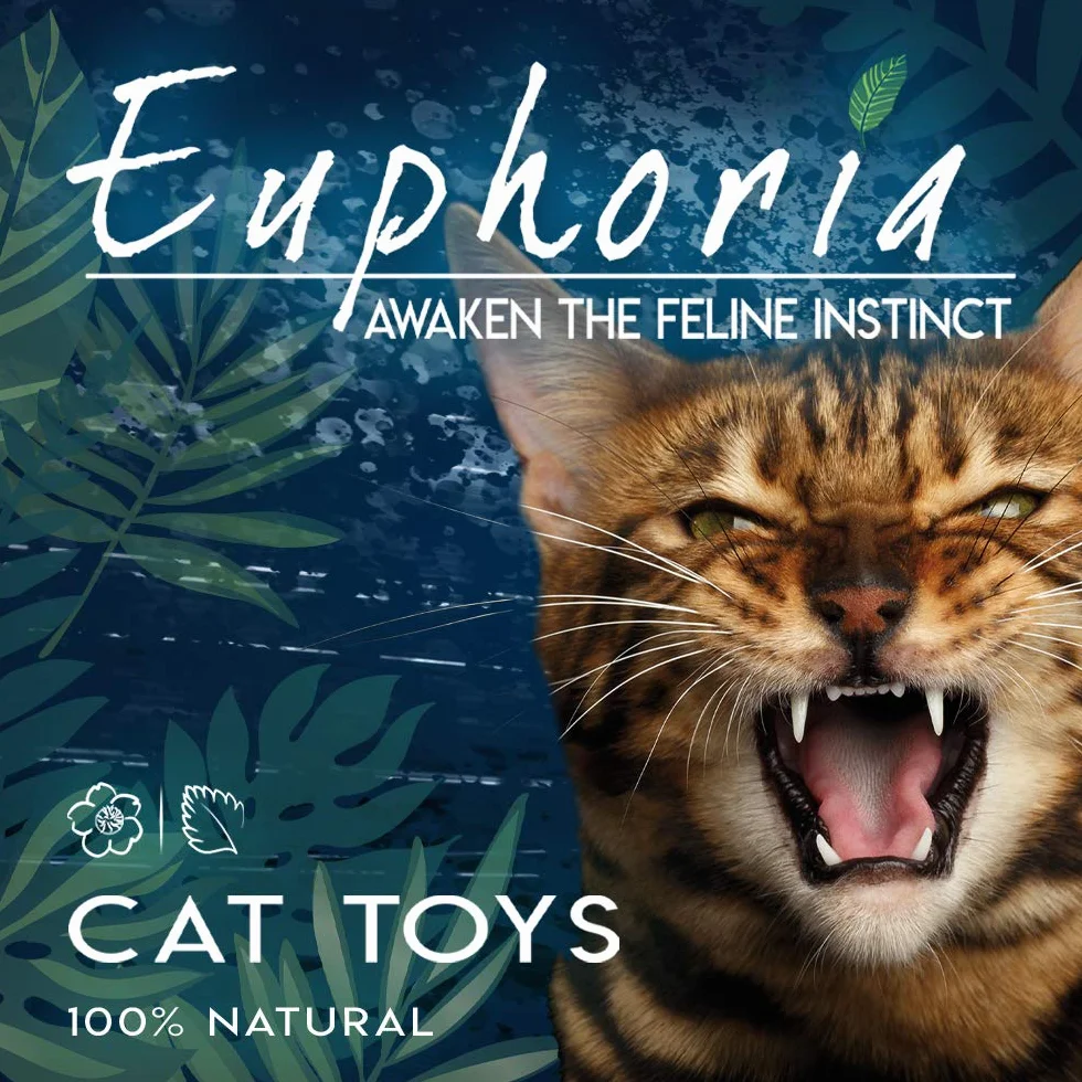 Croci Euphoria - Tarro de Hierba gatera Seca Natural picada, Atractivo para Gatos, 25 g