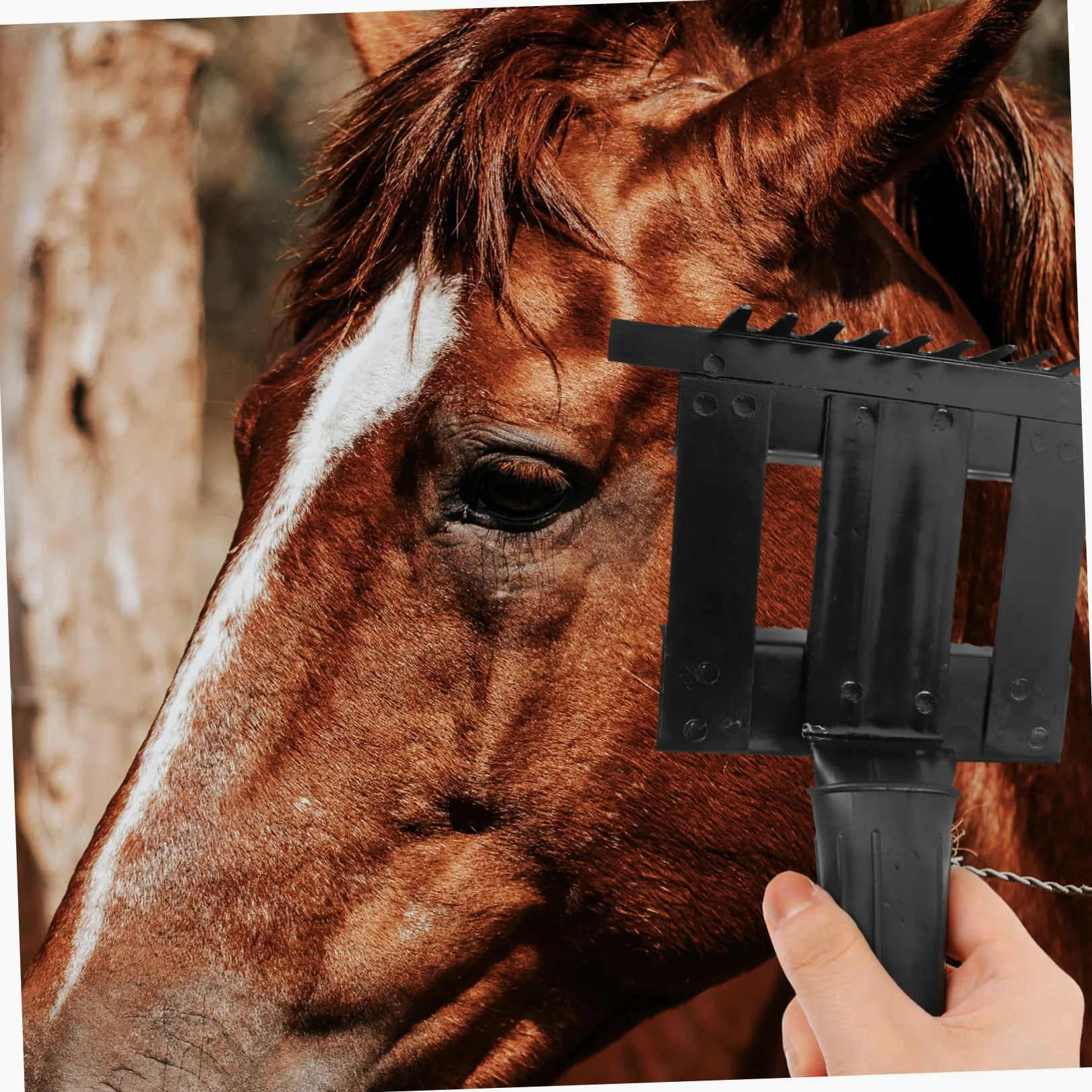 Toddmomy 5 Piezas Rastrillo Anti-picazón Sillín Cepillo De Autolimpieza Juguete Mascota Equipo Impermeable Peine Agente De Mudanzas Cerda Aseo Limpieza De Caballos Caucho Black