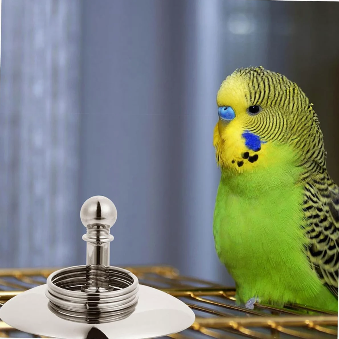 Beaupretty Anillo Loros 4 Juegos Bicicleta Loro Juguetes Educativos Xuan Feng El Plastico El Pájaro Juguetes Interactivos para Loros