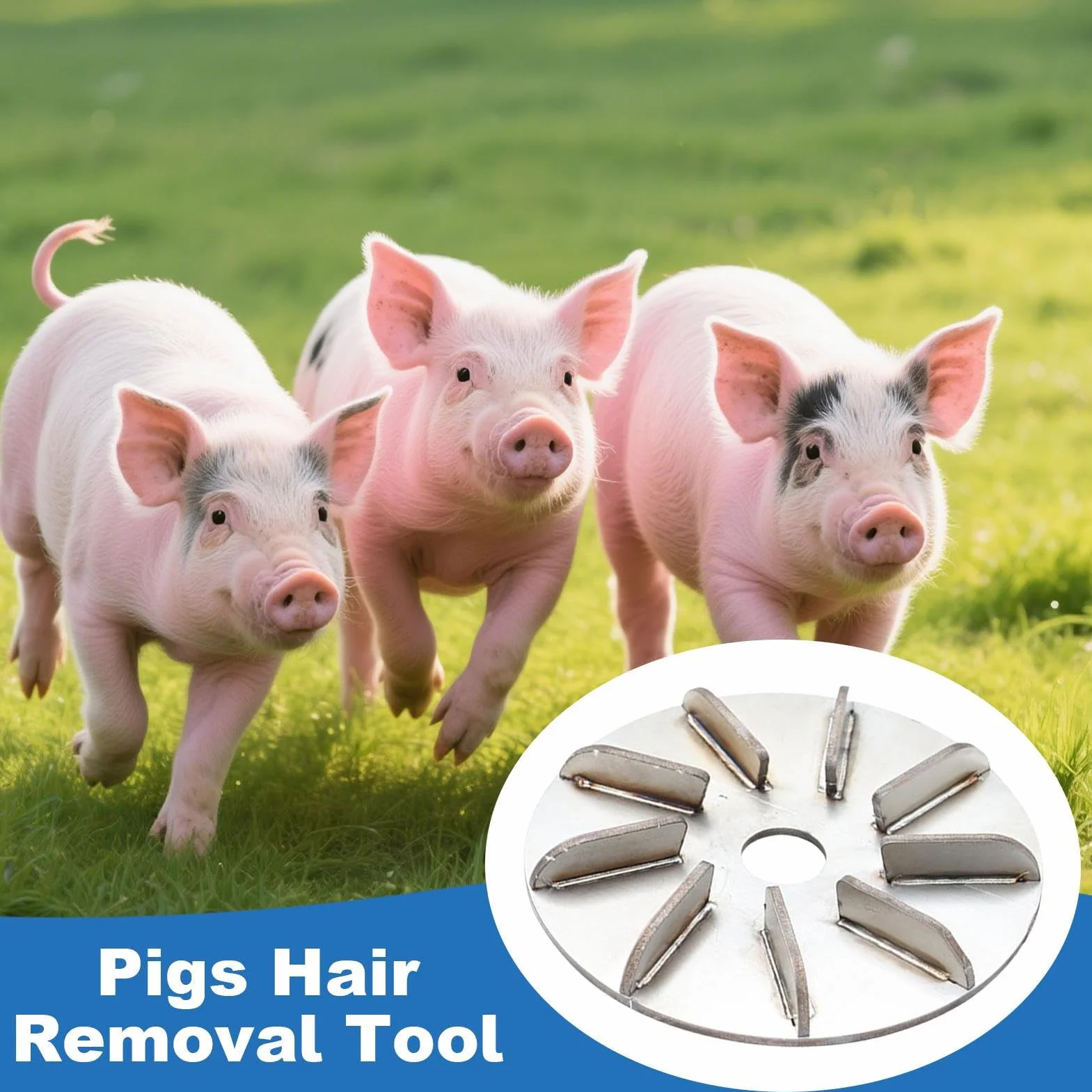 Labor-Saving Pig Hair Remover | 9 Gears Stainless Steel Pigs Hairr Scraper | Multi Gear High Efficient Grooming Tool for Livestock Roosters Slaughter Factory Hen Cows Sheep