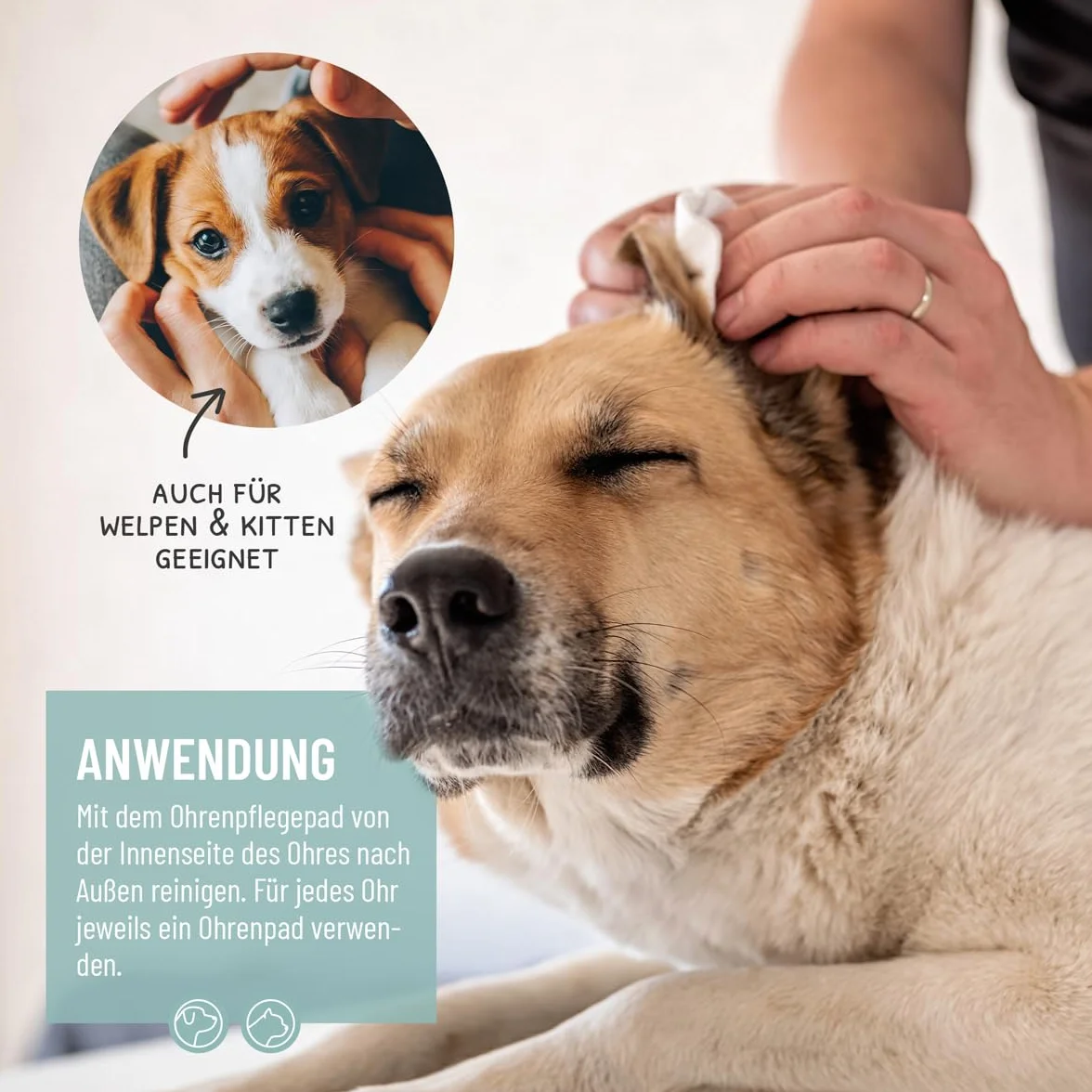 ReaVET 100 unidades de limpiador de oídos para perros y gatos Almohadillas para el cuidado de las orejas toallitas de limpieza para perros especialmente suave y suave con aloe vera para perros y gatos