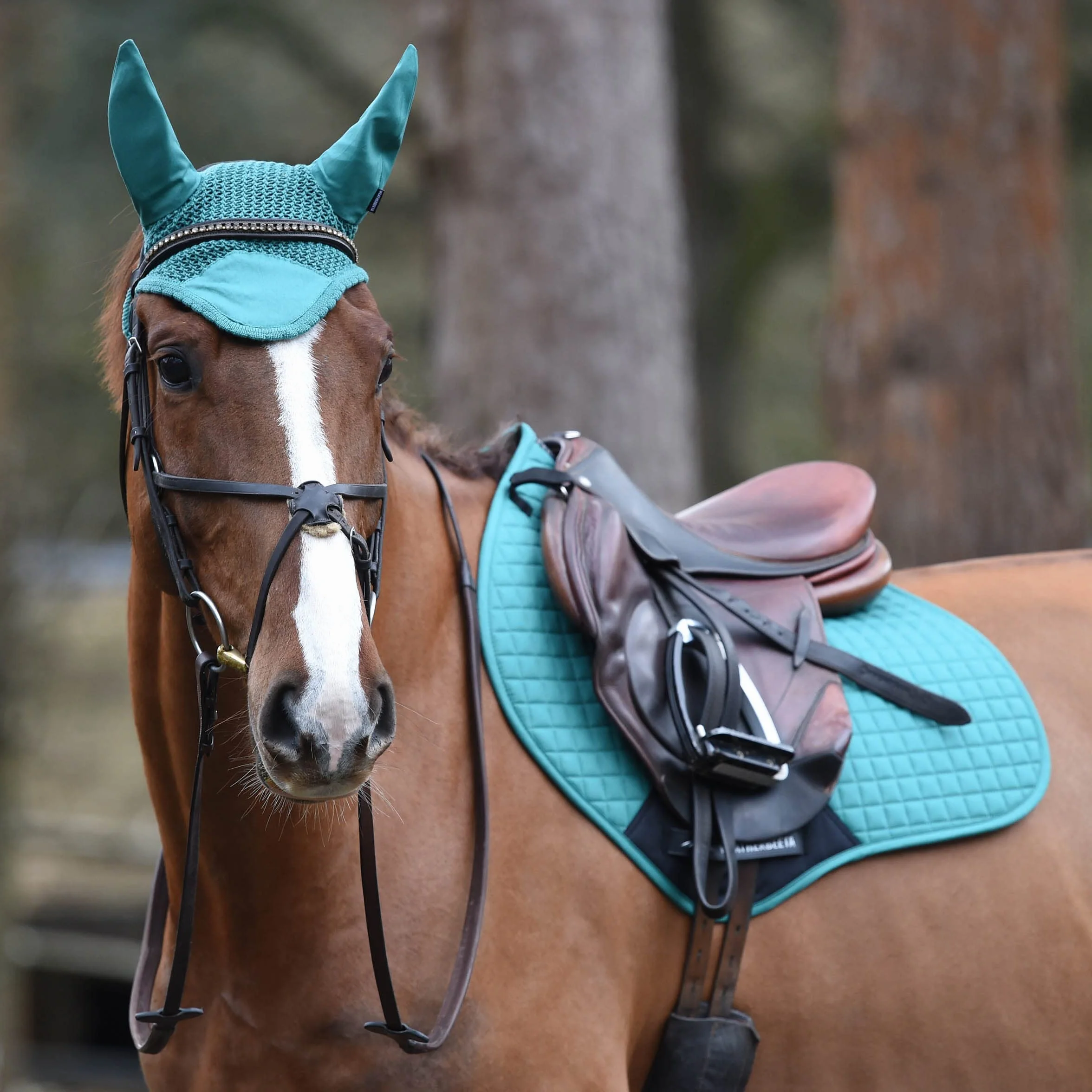 Weatherbeeta 2023 Mantilla Prime Jump 1000747 - Verde