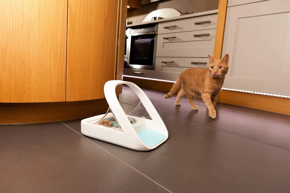 Comedero para mascotas SureFeed Sure Petcare con lector de microchip y tapa sellada, compatible con placas de identificación RFID, para comida húmeda y seca, blanco, necesita 4 pilas C (no incluidas).