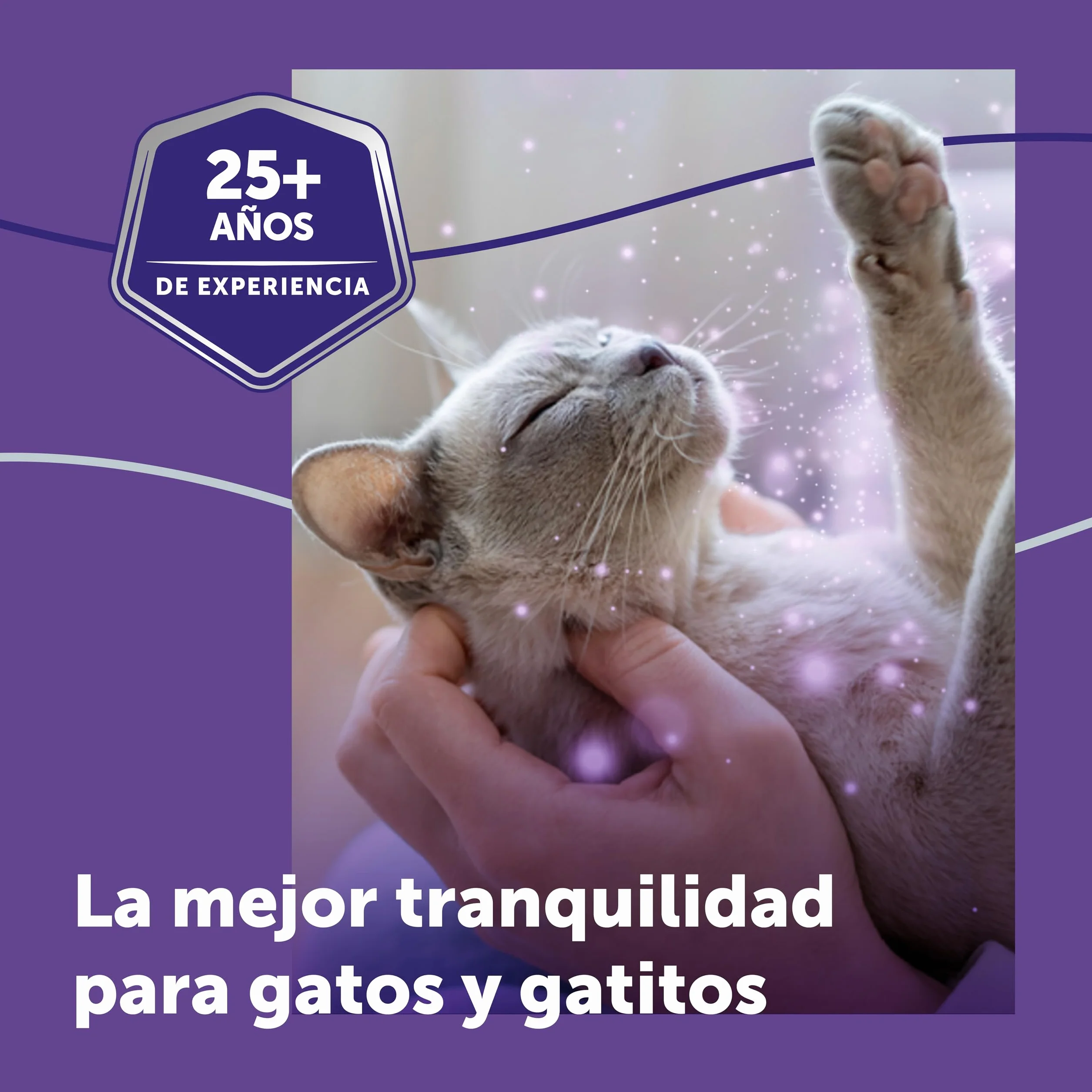 FELIWAY Optimum - Difusor + Recambio de feromonas calmantes para gatos (30 días, 48 mililitro) - Ayuda a reducir los signos más comunes de estrés. Recomendado por veterinarios. La mejor tranquilidad