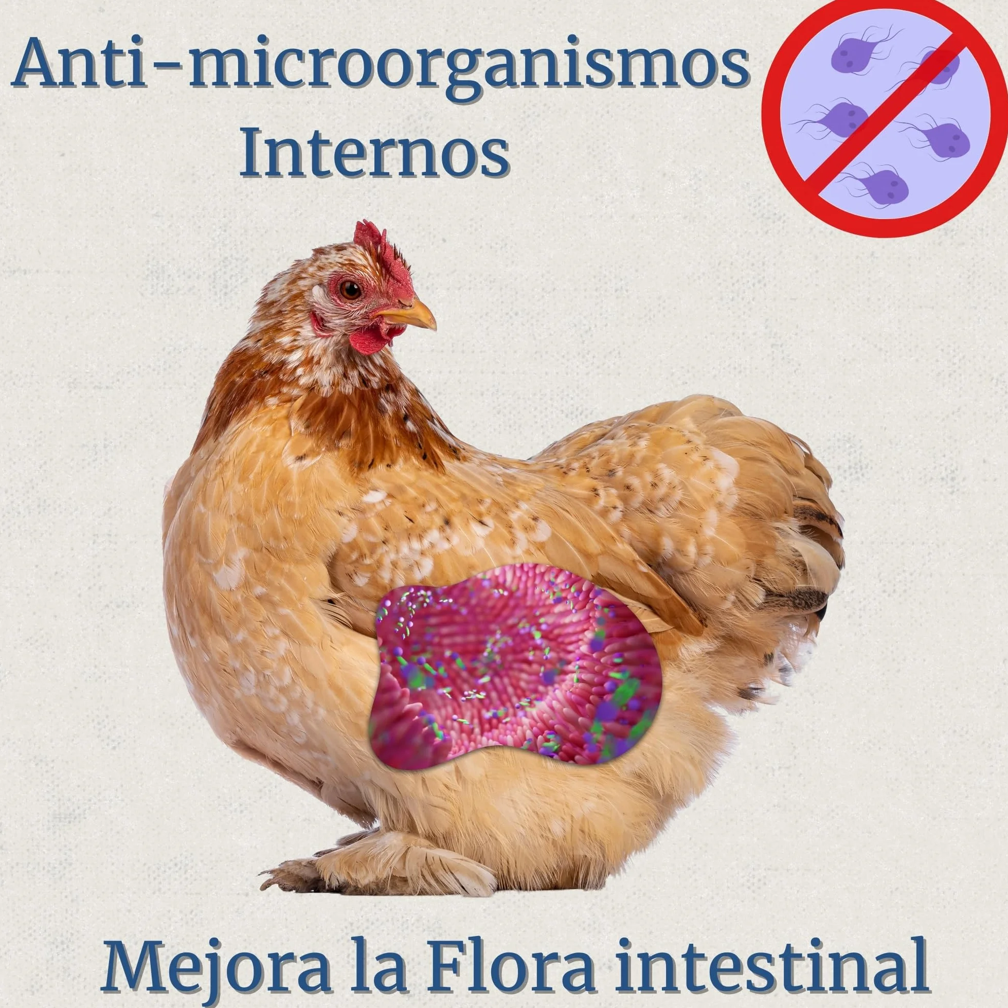 Preventivo Parasitos Internos Natural 250 ml - Gallinas, Aves de Corral y Exóticas - Previene y Trata Problemas digestivos - Fórmula Natural - Extracto de Ajo y Oregano - Inncare