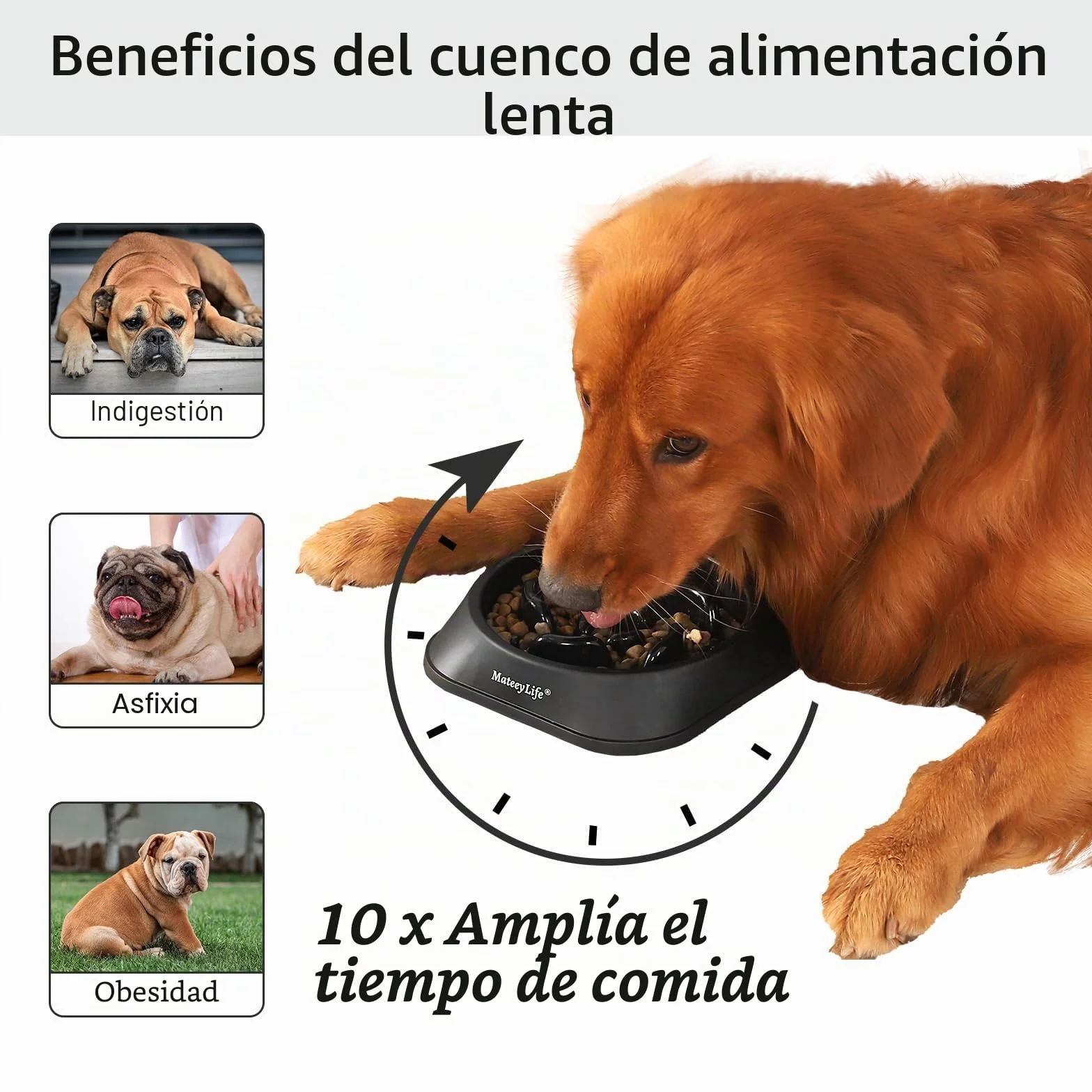 Mateeylife Comedero para Perros, Comedero Perro Antivoracidad para Cani Mediani e Grandi, Slow Feeder Anti Ingozzamento, Mediano 1 Unidad