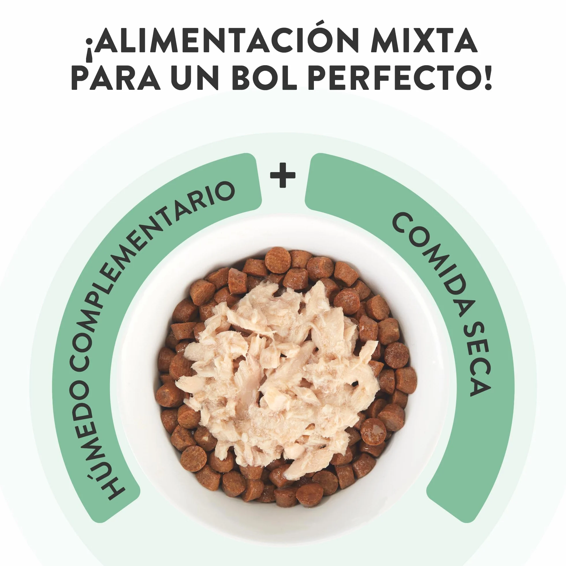 Schesir, Sopa con Filetes de Pollo con Zanahorias y Calabaza, Cibo Húmedo Complementario para Gatos, Receta Original, 100% Natural, Cruelty-Free, 12 x 40g