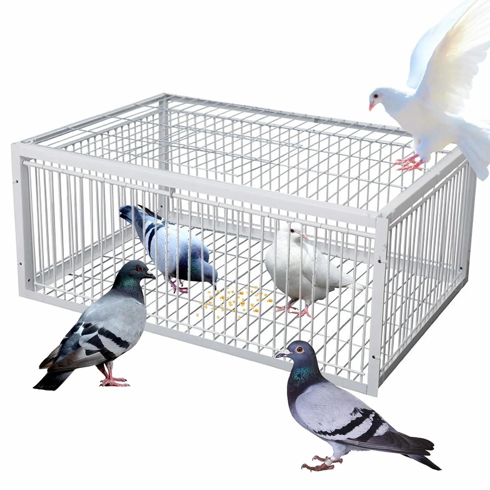 Jaula Palomas Trampa con Diseño a Prueba de Escape, Trampa Automática para Pájaros con Entrada Unidireccional, Jaula para Atrapar Pájaros Portátil y de Fácil Montaje para Granjas, Bosques(Blanc