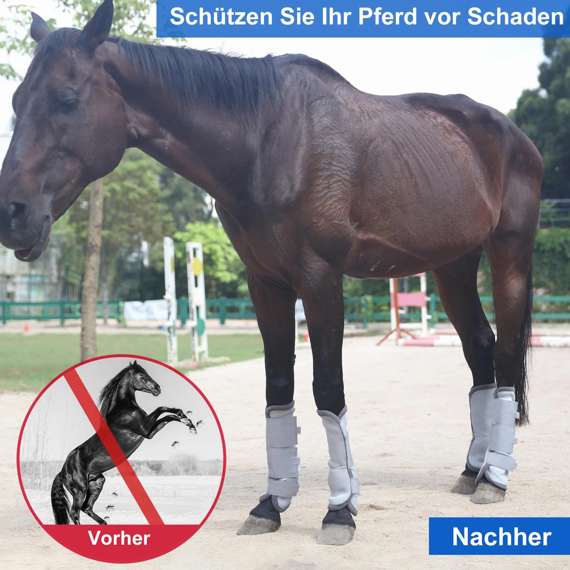 Protectores Caballo, Bota de Caballo Transpirable, con Funciones de protección y Soporte, Protección contra los Rayos UV