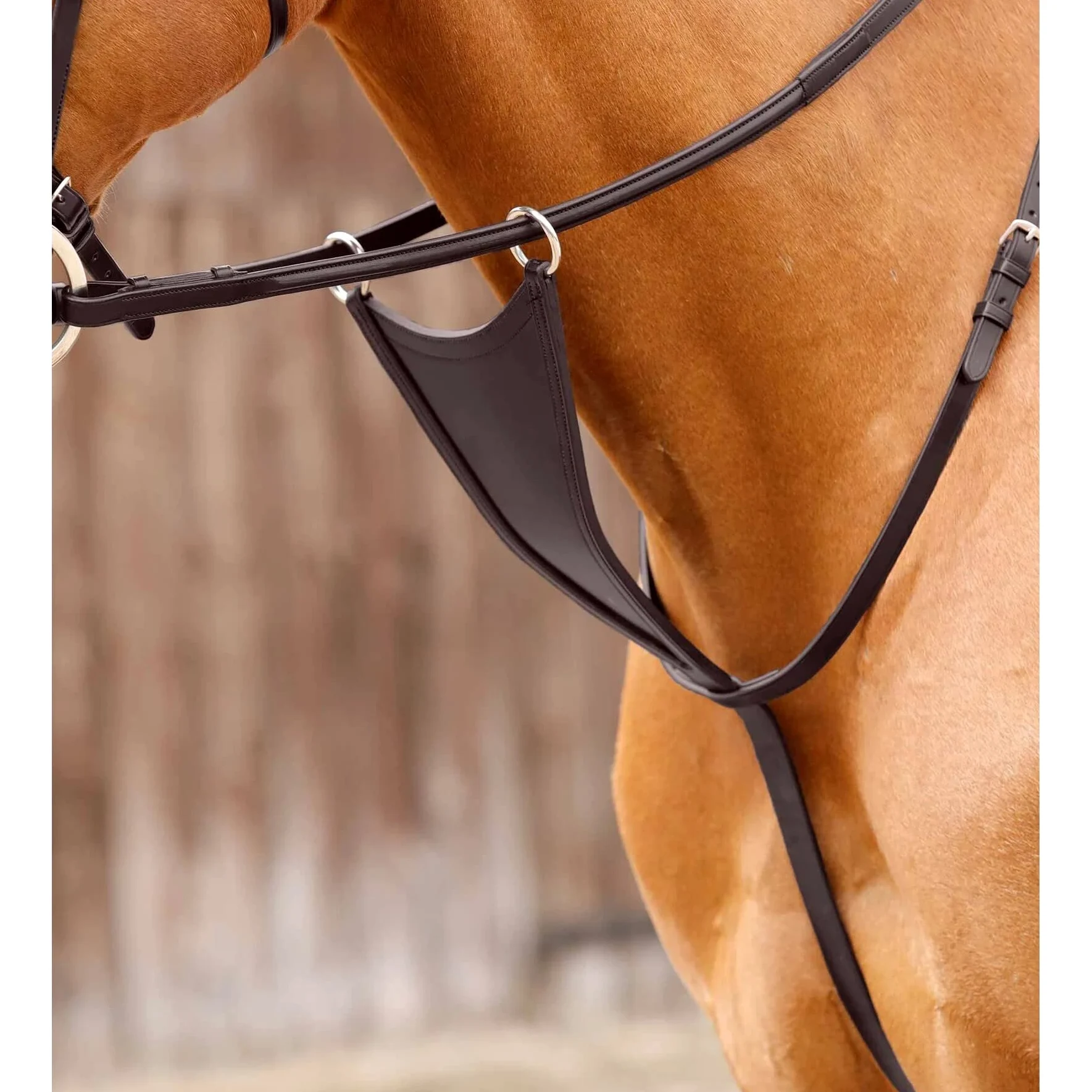 Premier Equine Martingala con Peto Rosello