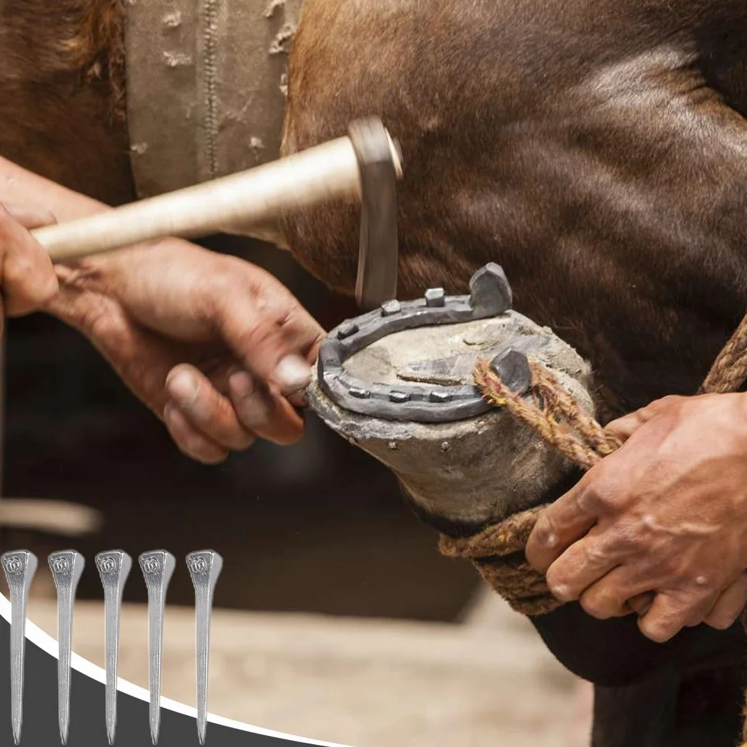 50 pcs Clavo de Herradura Clavos De Acero De Caballo 5.1cm Caballo Clavo de Pezuña para Entrenamiento de Caballos Deportes Ecuestre para Vidrio de Plomo Fijo