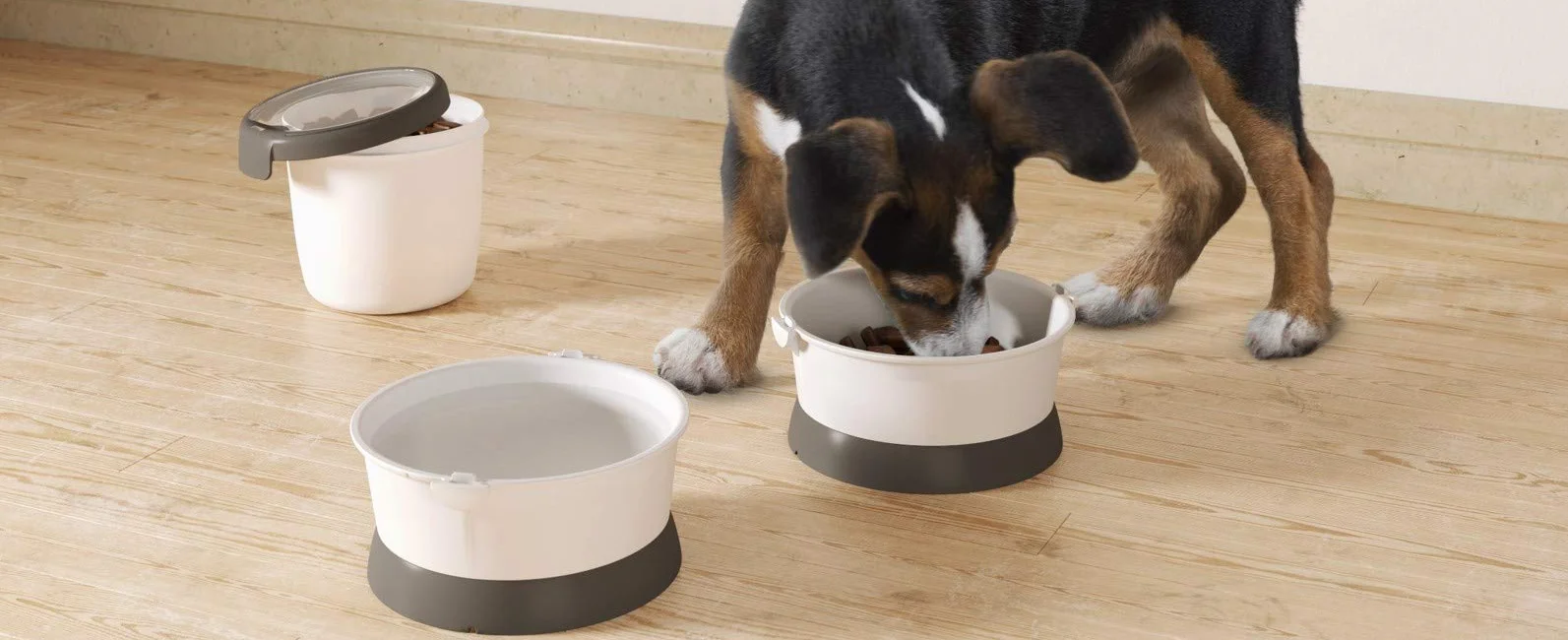 CURVER Pet Life Kit- Kit Nómada 1,5L, 2 comederos y 1 hermético; Almacenaje pienso; 19x18x18 cm; Recipiente comida para mascotas