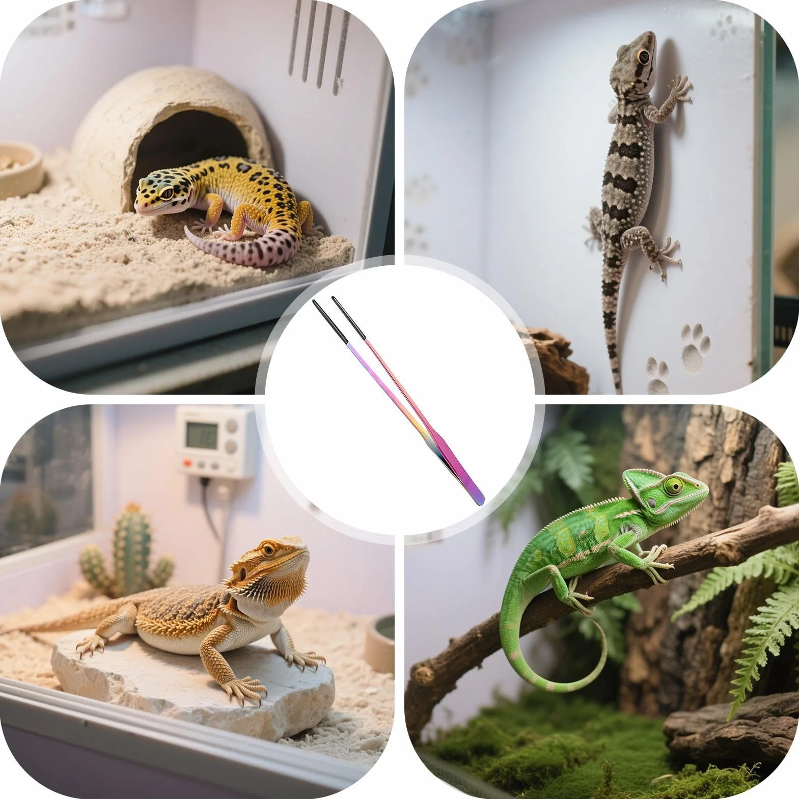 Pinzas para Reptiles,Pinzas Largas para Acuario | Accesorios Antideslizantes Cabezal Silicona para Serpientes Arañas Lagartos Mascotas Plantas Acuáticas Acuario Hogar