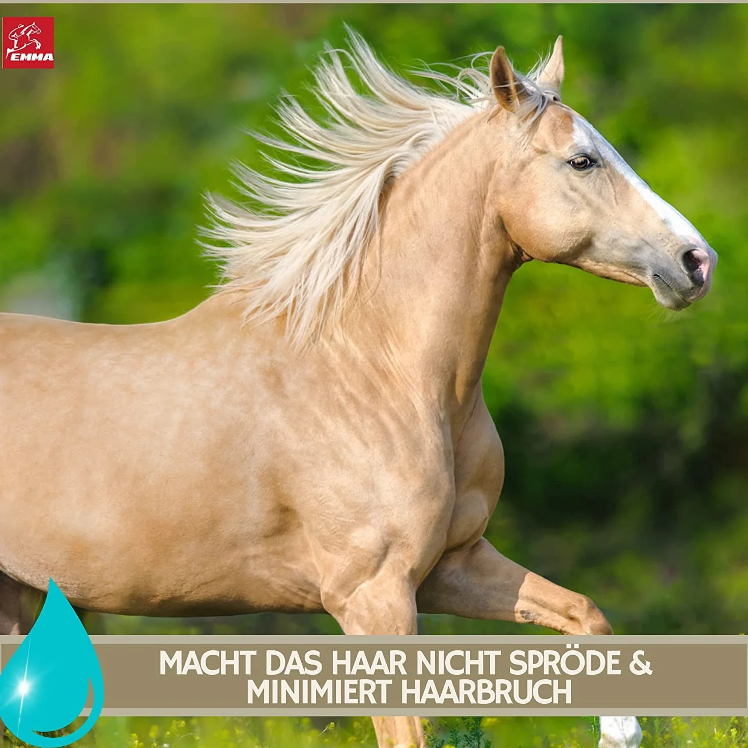 Spray de Purpurina - Spray de Crin para Caballos I Grasa para Cascos con Purpurina I Golosinas para Caballos Champú para Caballos Juego de 4 pz Spray de Cola Golosinas para Caballos 400gr 500ml 250ml
