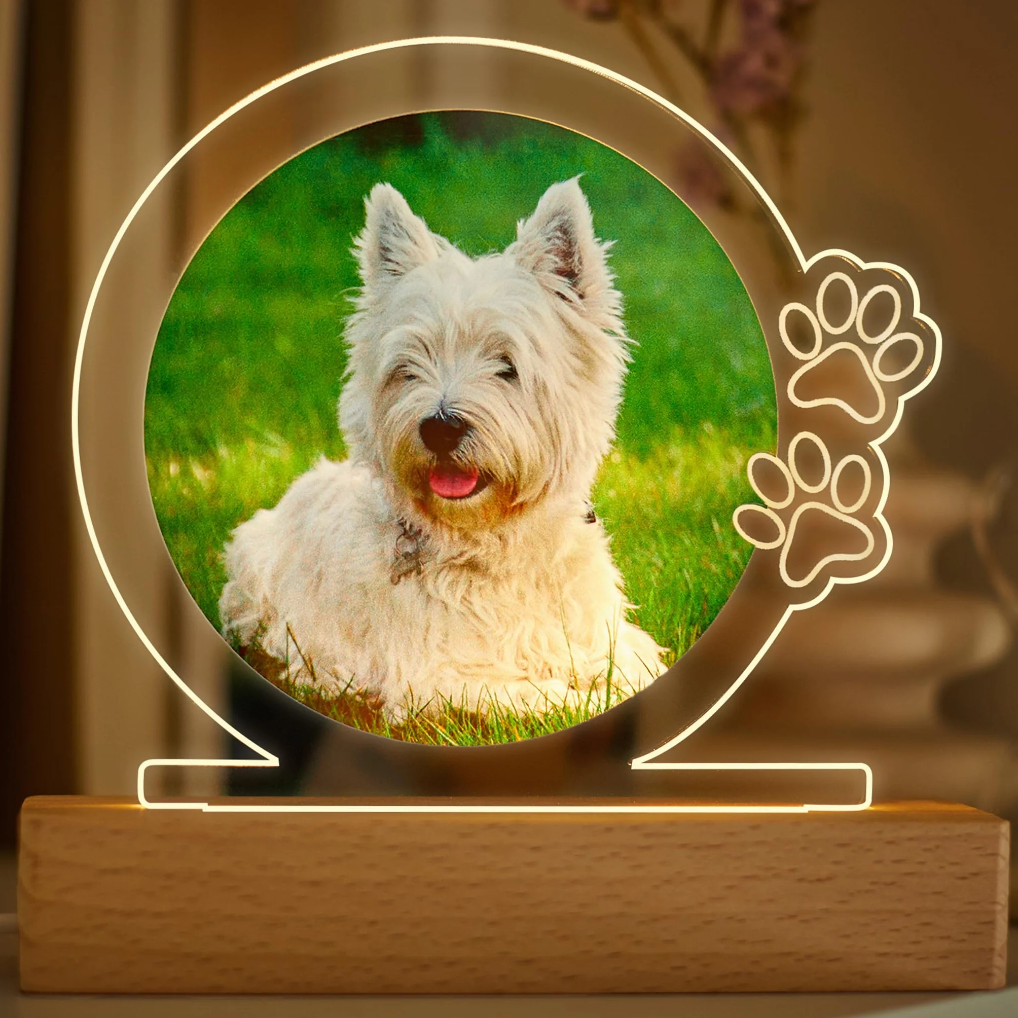 Transparent Gift Lámpara Personalizada con Foto de Mascota y Huellas. Regalos Originales y Personalizados para Amantes de los Animales. Placas Conmemorativas para Mascotas. Placa Luminosa Metacrilato