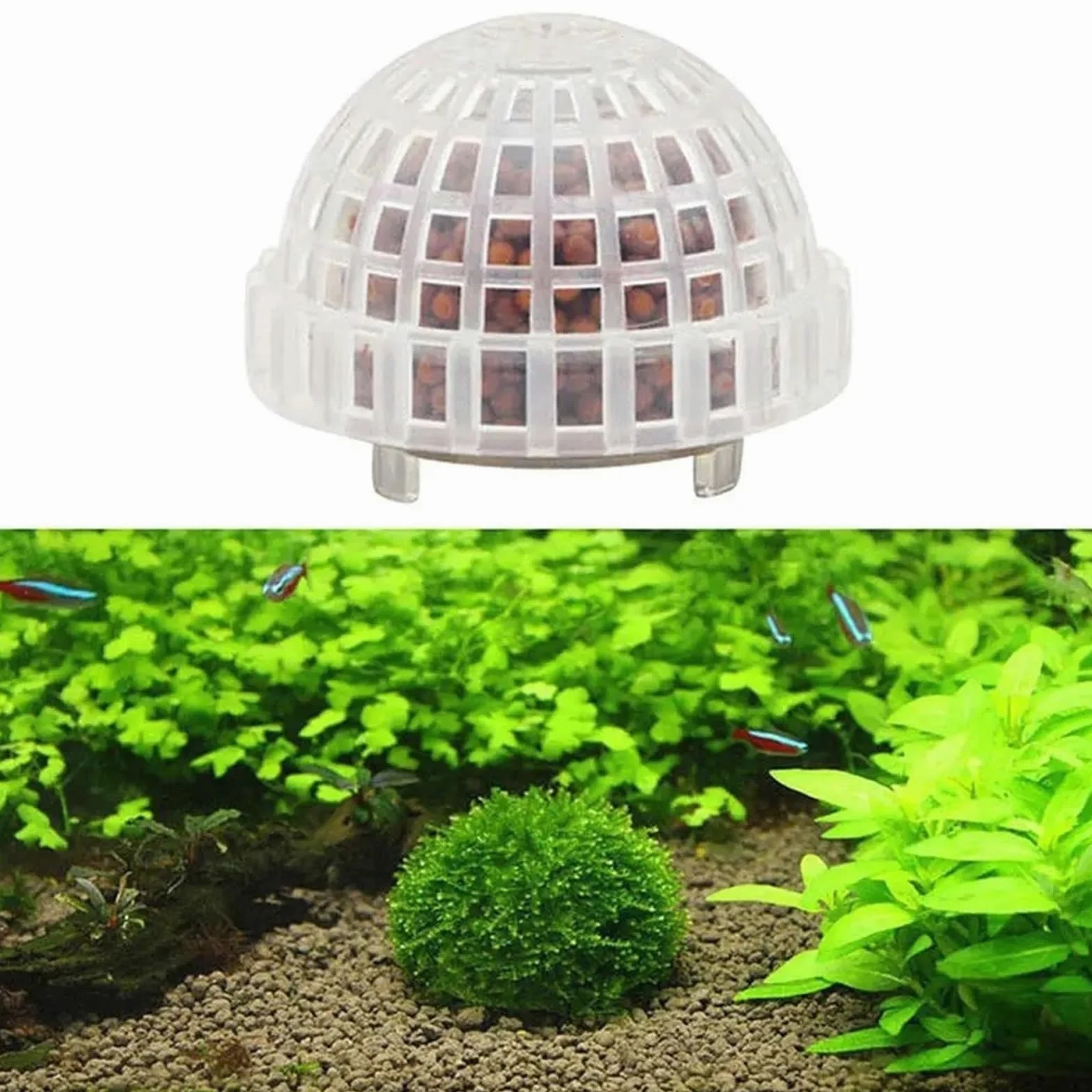 Acuario Decoración Plantas Bio Moss Ball Holder para Acuario | Accesorios de filtro de decoración for pecera, casa de camarones rojos cristalinos, for acuario(5PCS)