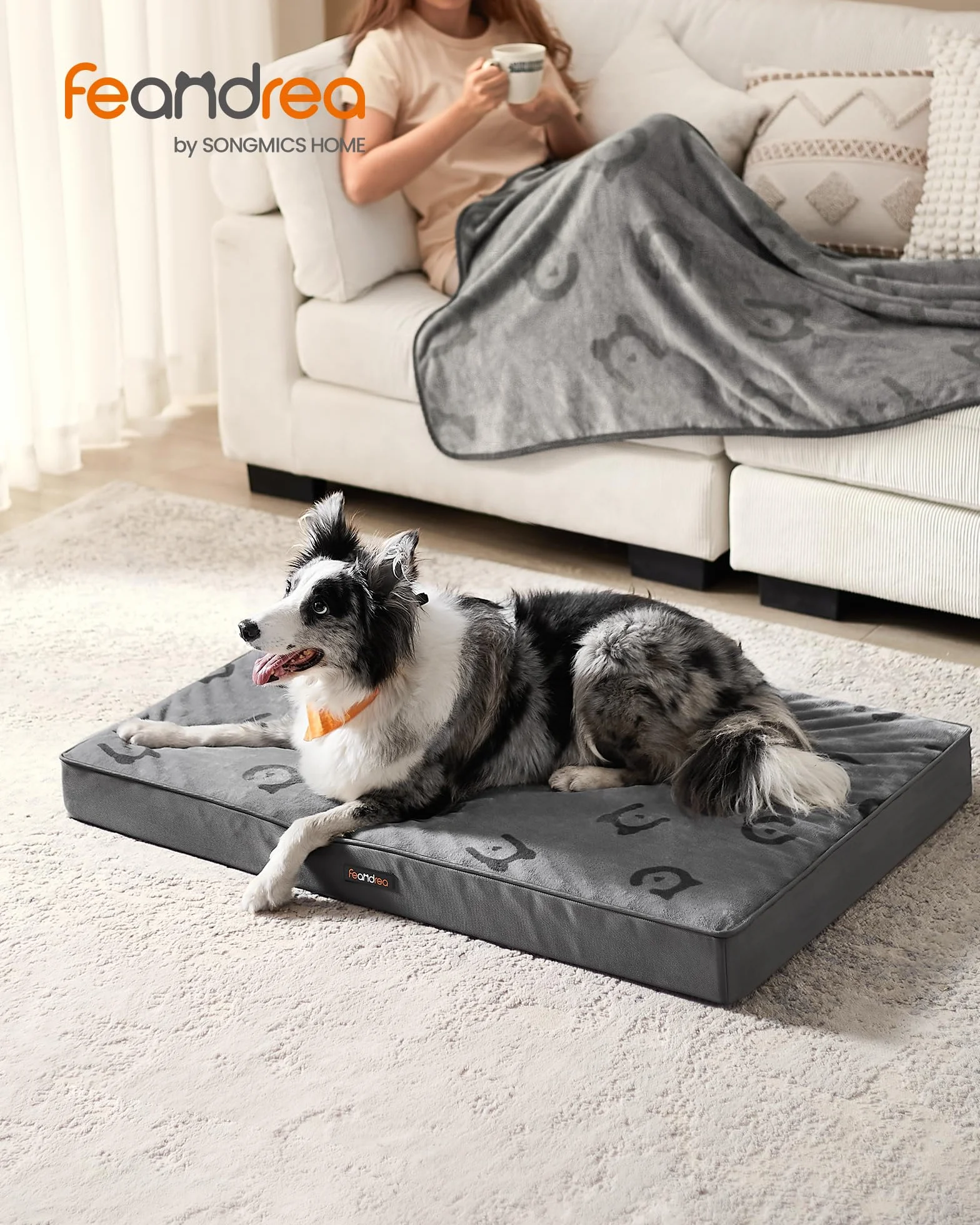 Feandrea Cama para Perros, Cama para Mascotas, Espuma Corrugada Preformada, con Asa, Extraíble, Doble Cara, Impermeable, Talla XL, 105 x 73 x 10 cm, Gris Paloma PGW243G01