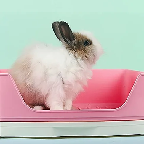 Cajas de Arena Caja de Arena de Conejo Grande con Caja de cajones, Caja de Inodoro de la Esquina de la Esquina de la cornería de la Pet de Mascotas con la Rejilla para la operación fácil, Mascota más