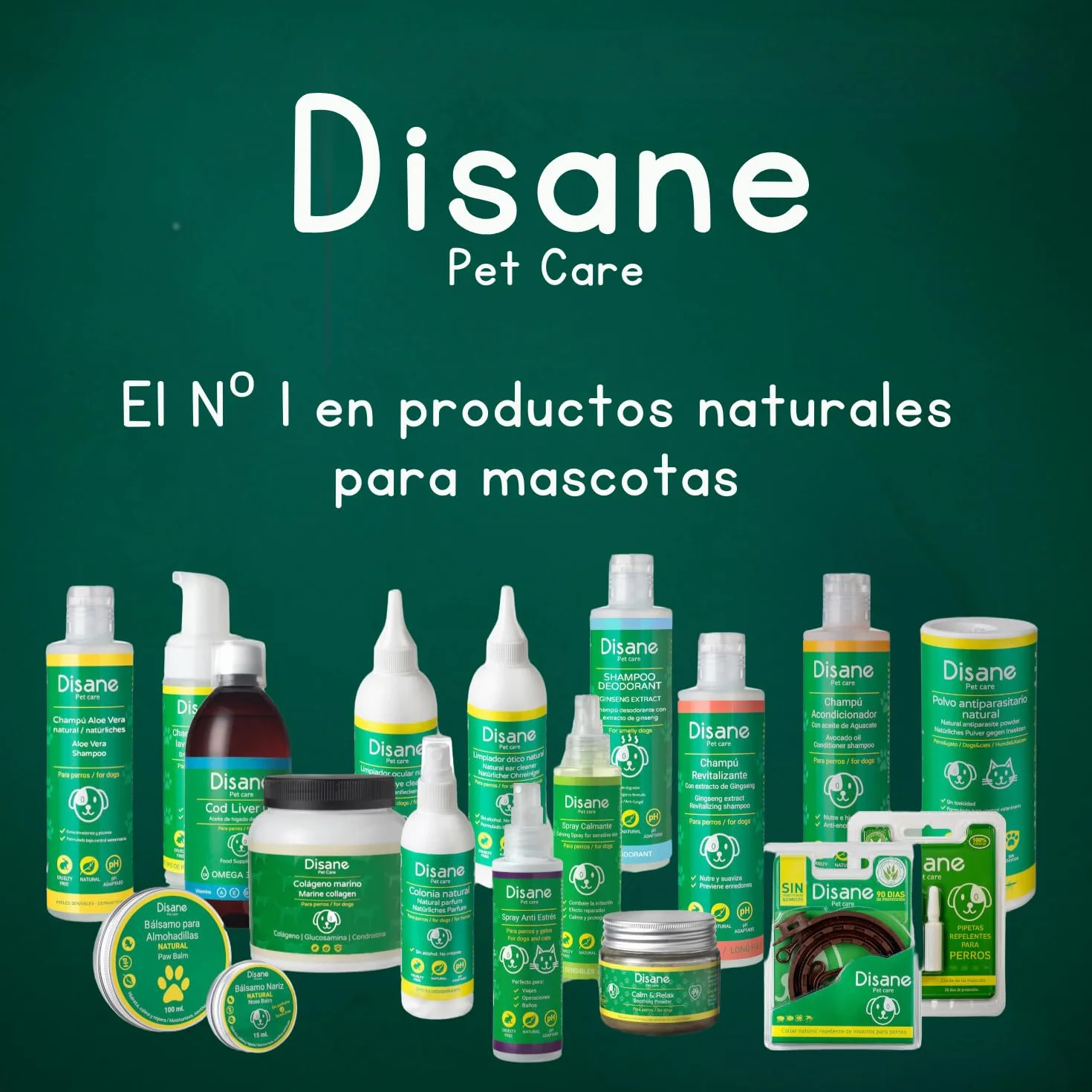 DISANE Pipetas Antiparasitarias para Gatos 100% Naturales | 2 Uds | 2 Meses de Protección contra Insectos y Parásitos: Pulgas, Garrapatas y Mosquitos | Antipulgas Sin Toxicidad para el Gato
