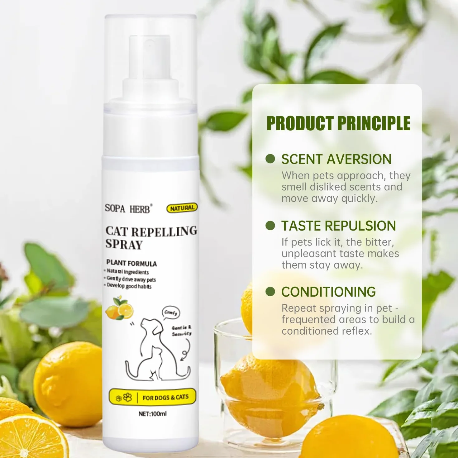 Sopa - Spray repelente para gatos, fórmula natural a base de plantas, protección interior y exterior, 100 ml