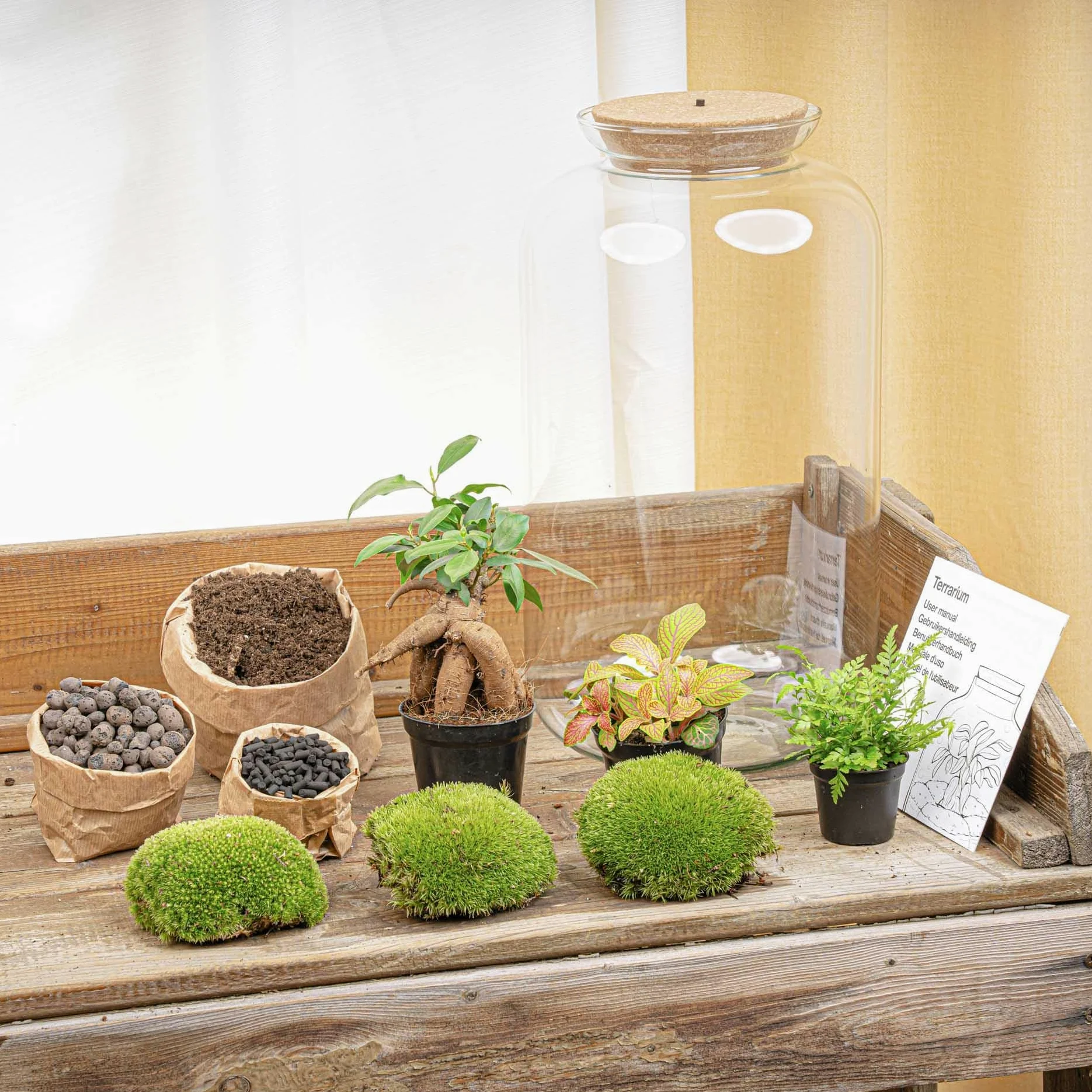 Terrario DIY de Cristal con Luz, Decoración de Hogar, Verde, 43 cm