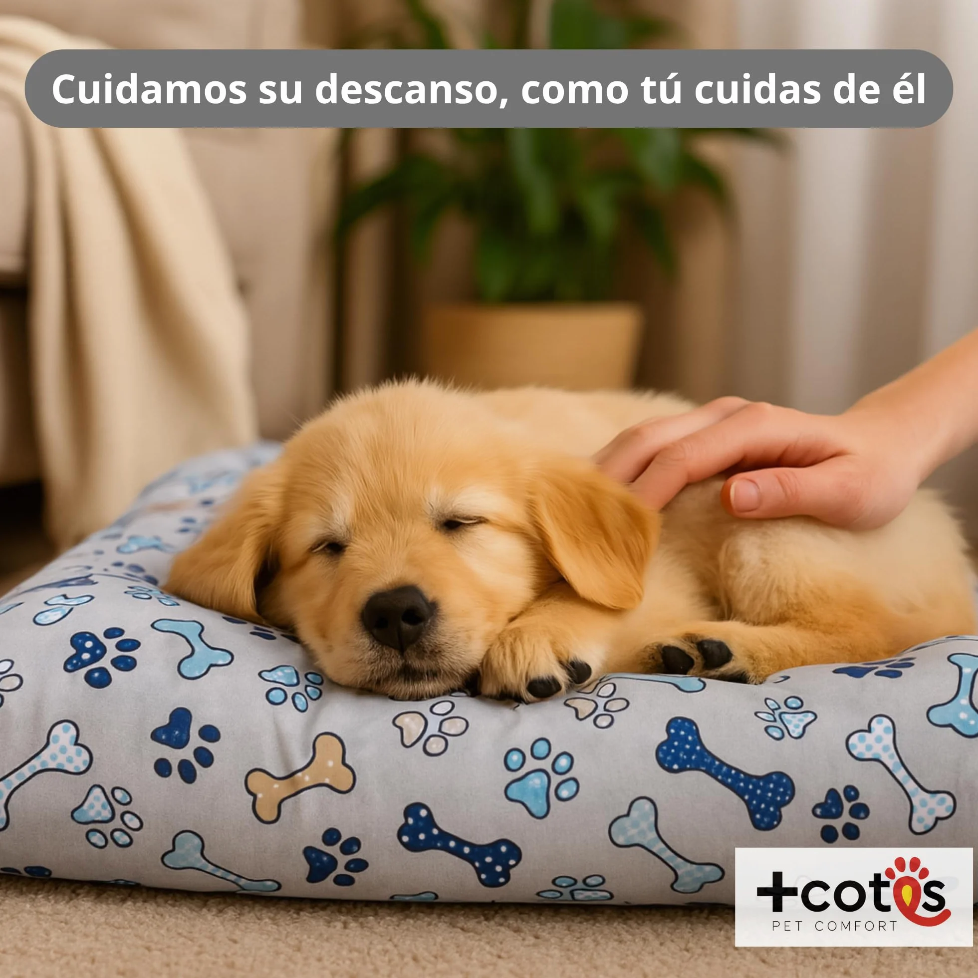 Cama Perro pequeño - Colchón Fibra Suave y Transpirable - Tejido loneta Resistente antipelos - Base Antideslizante - Lavable y Ligera - Hecho en España 50X70X8 Huesos +Cotes
