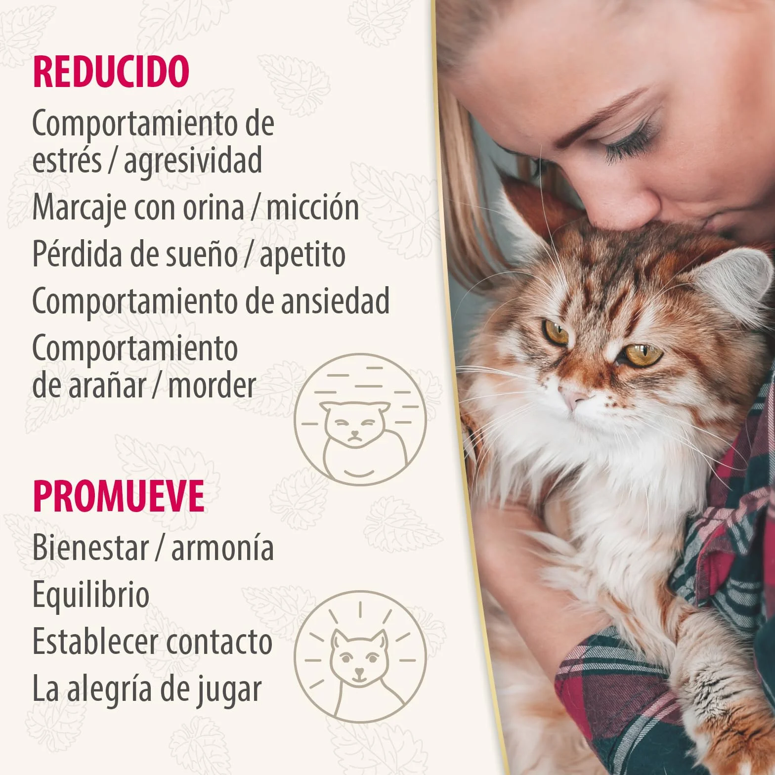 Felisept Home Comfort Spray antiarañazos gatos 100ml - Con Hierba Gatera Natural sin Feromonas para gatos - Reduce El Comportamiento Indeseable, El Estrés Y La Inquietud En Casa Y En Movimiento