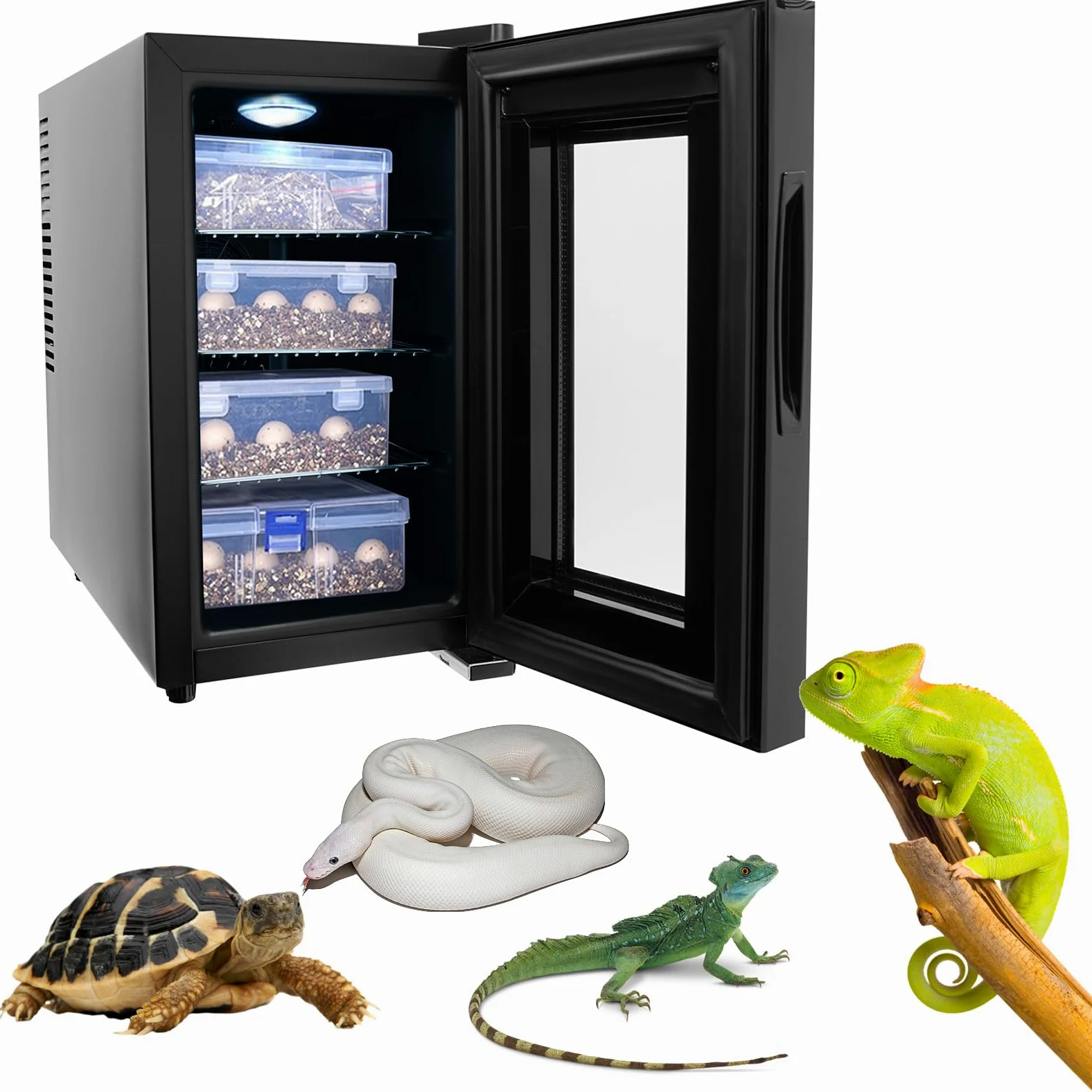 Incubadora de huevos para reptiles de 23 litros, temperatura ajustable, 10 – 40 ℃, incubadora totalmente automática con pantalla LED, incubadora de laboratorio para tortugas de agua, lagartos,