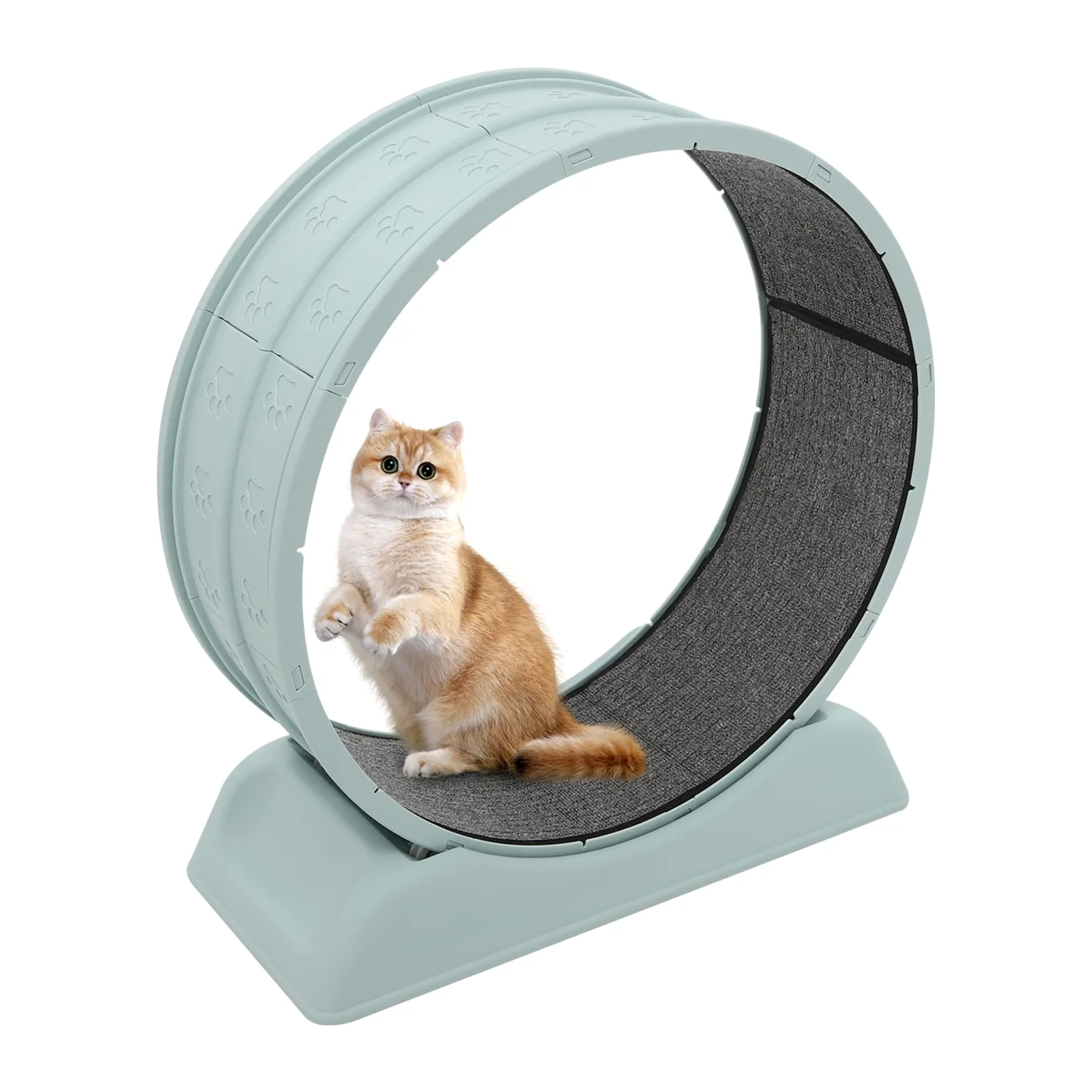 Rueda para gatos de 80 cm con candado y diseño de hendidura minimizado, capacidad de carga máxima de 10 kg, juguete de entrenamiento (azul)