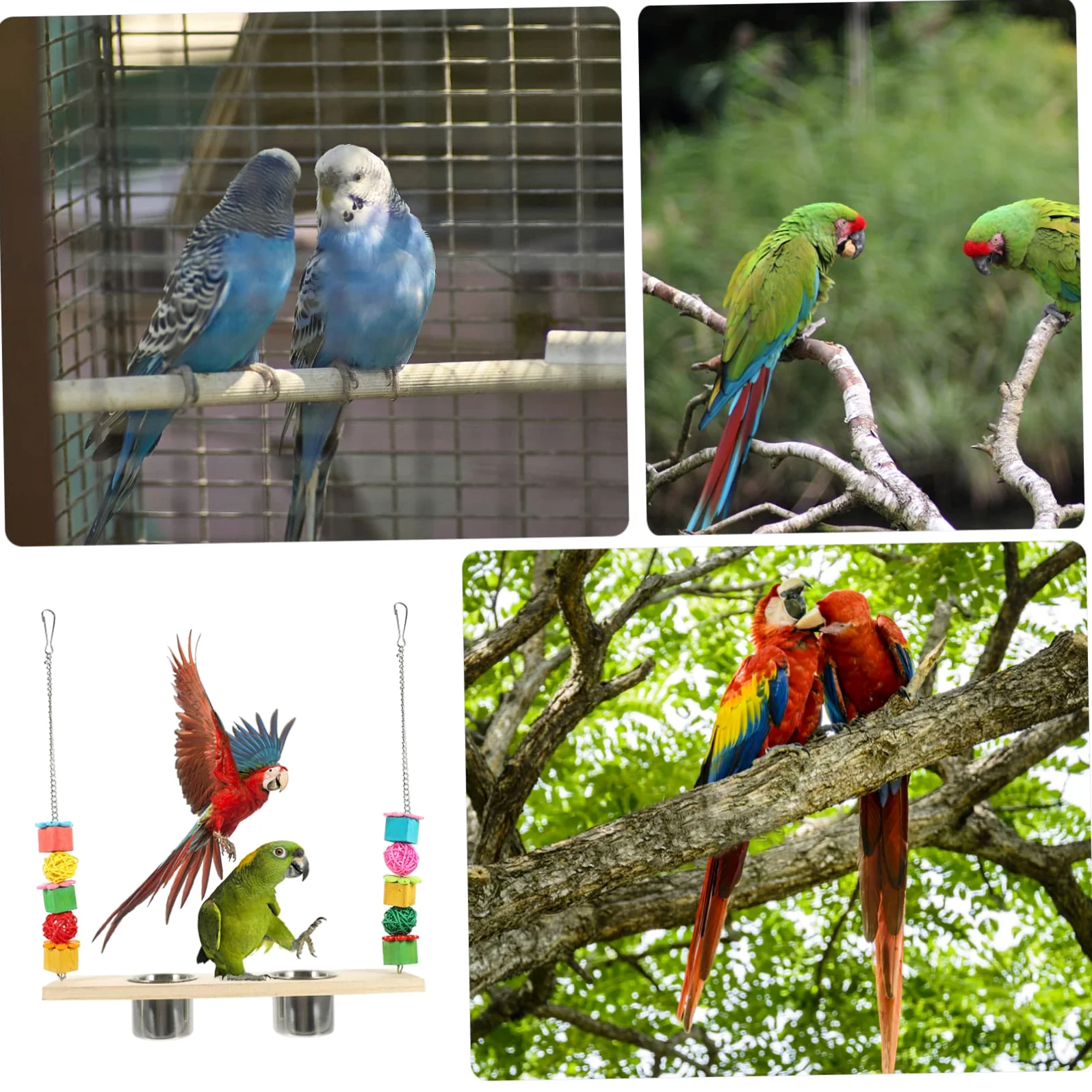 minkissy 5 piezas de juguete de búsqueda de loro, perca de pollito, columpio de loro con taza de comida, juguete de mordida de loro, juguetes de pájaros para cacatúas, perchas, juguete de loro,