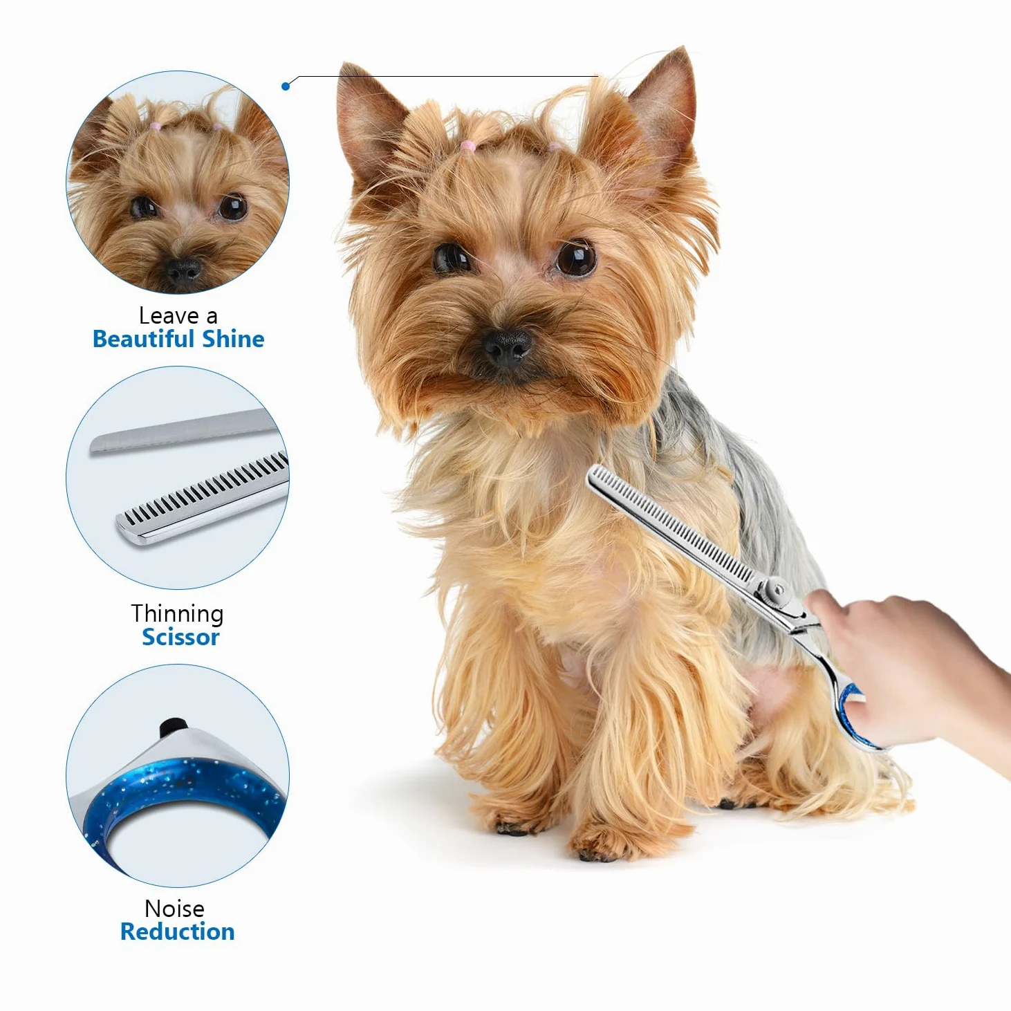Laazar Pro Shears, Tijeras de Aseo para Mascotas entrelazadas, 16,5 cm, 42 Dientes