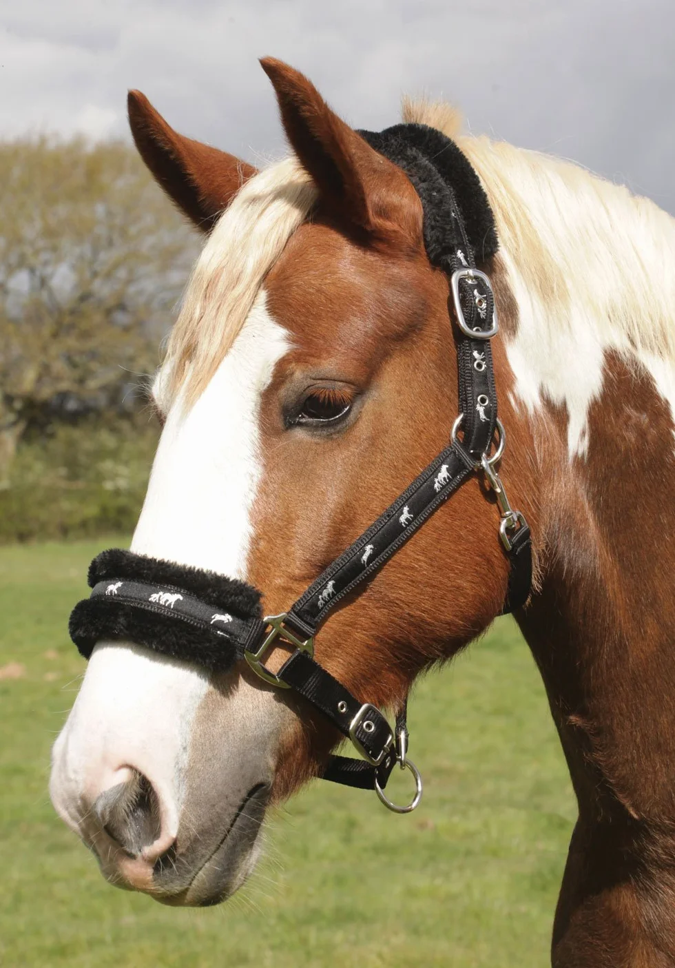Rhinegold Cabestreo de Caballo Acolchado de Nailon Azul Liso con Logotipo de Caballo Plateado