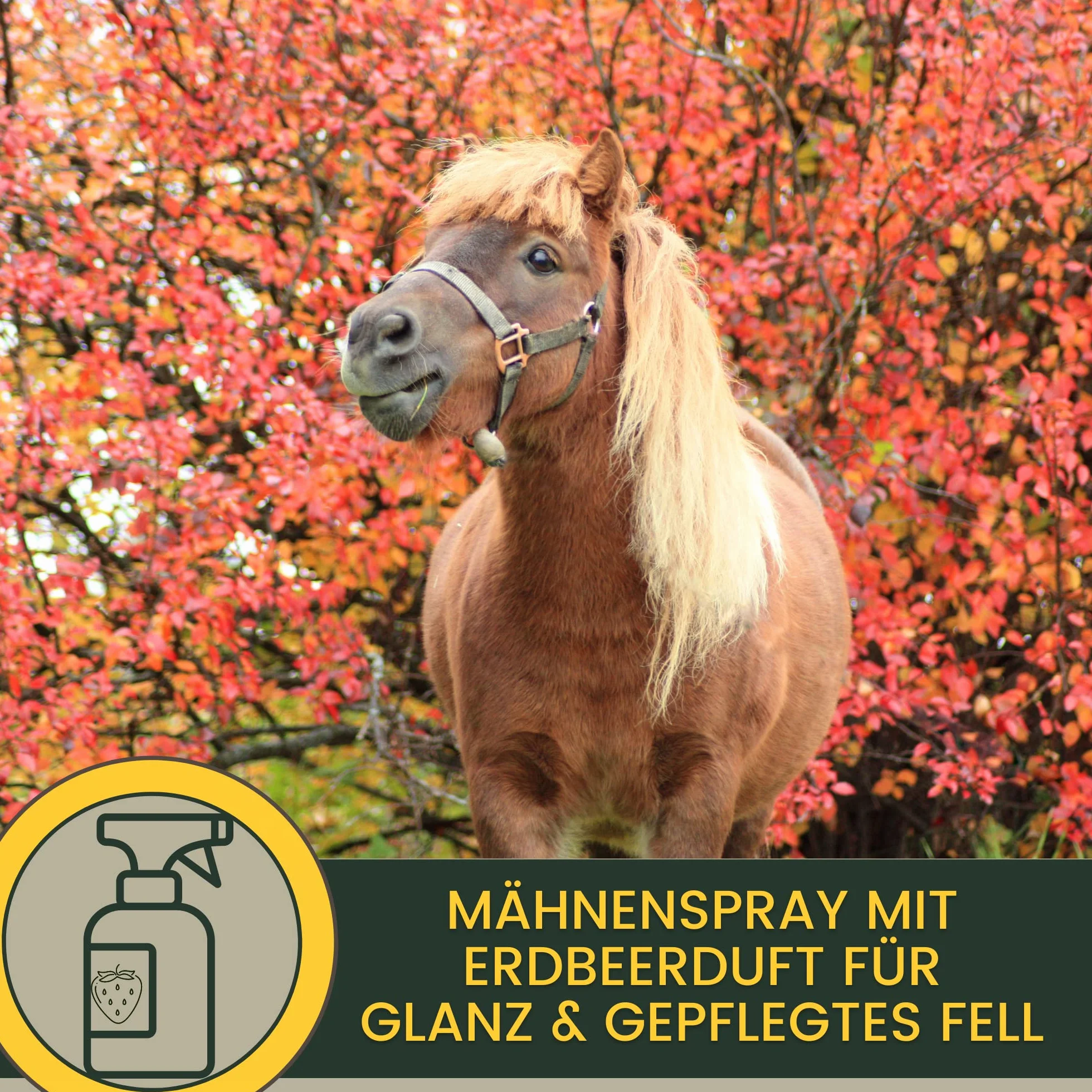 Spray de Purpurina - Spray de Crin para Caballos I Grasa para Cascos con Purpurina I Golosinas para Caballos Champú para Caballos Juego de 4 pz Spray de Cola Golosinas para Caballos 400gr 500ml 250ml