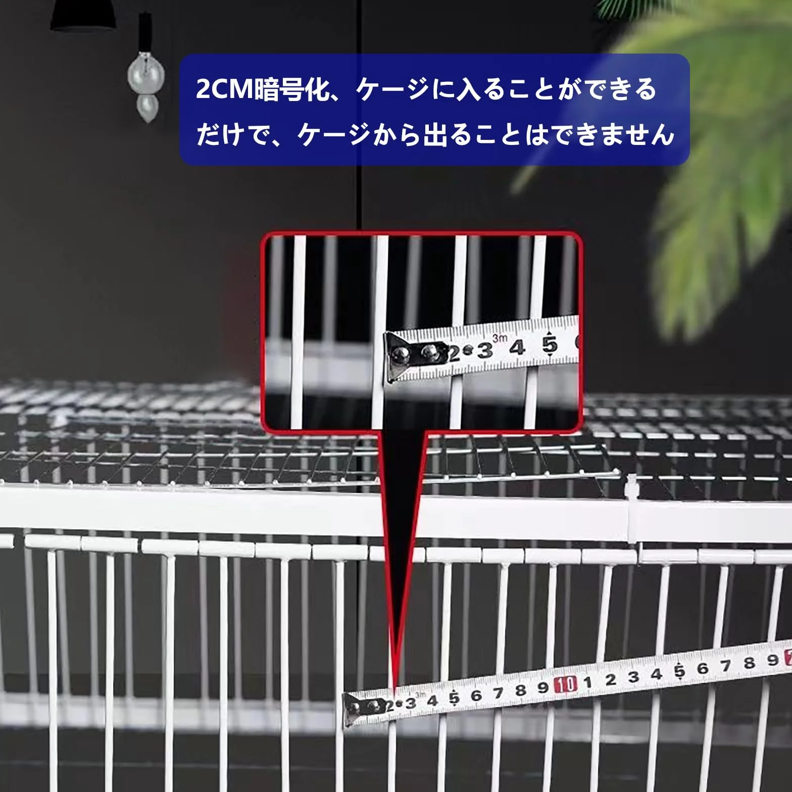 Jaula de trampa para palomas, palomas, loros, atrapador eficaz para carreras y cría, solución duradera para puerta de ventana