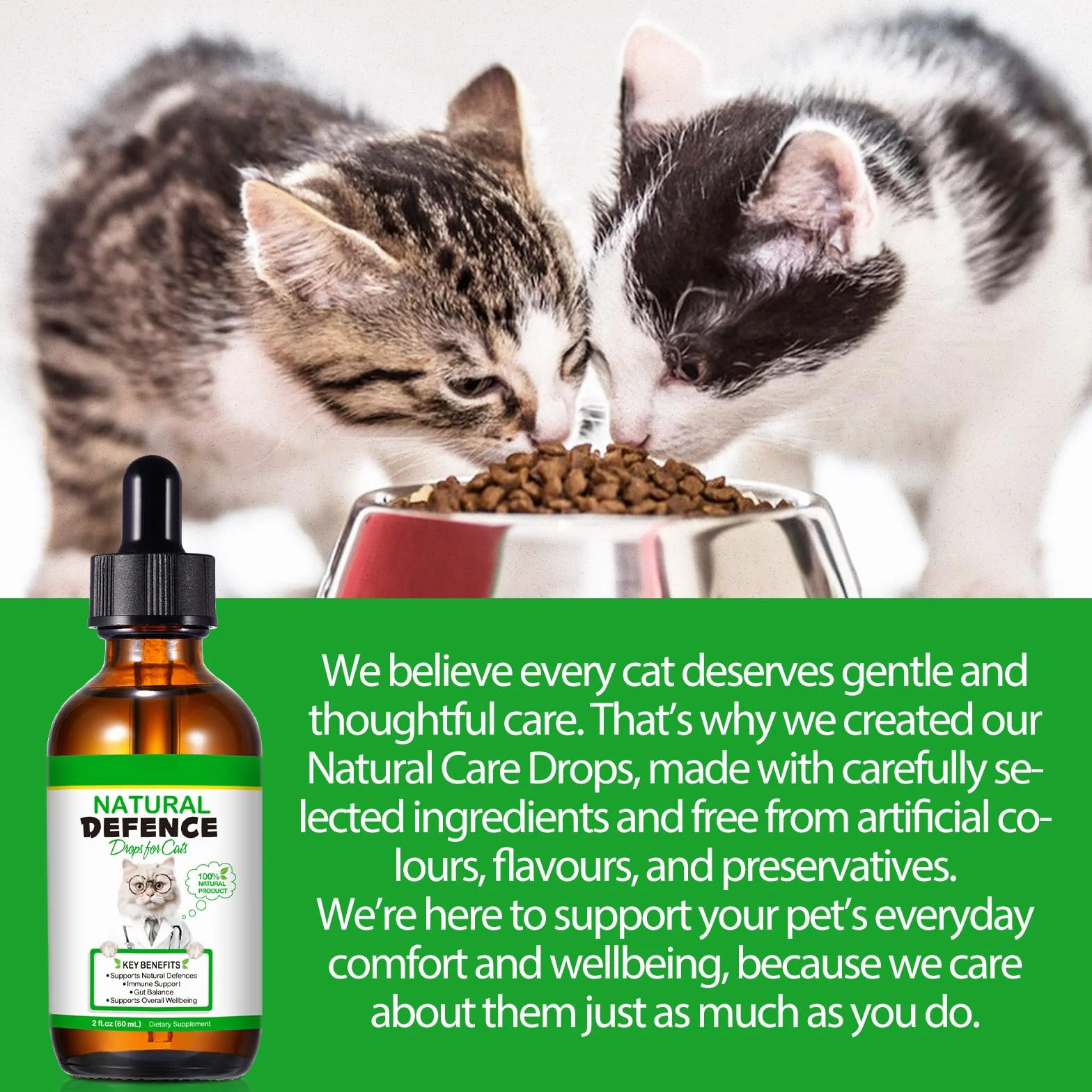 Fórmula Natural Antibacteriana para Gatos 60ml – Apoya el Sistema Inmunológico y Alivia Las Alergias – Alivio del Picor, Problemas de Oídos, Piel y Tracto Urinario – para Todas Las Razas y Edades