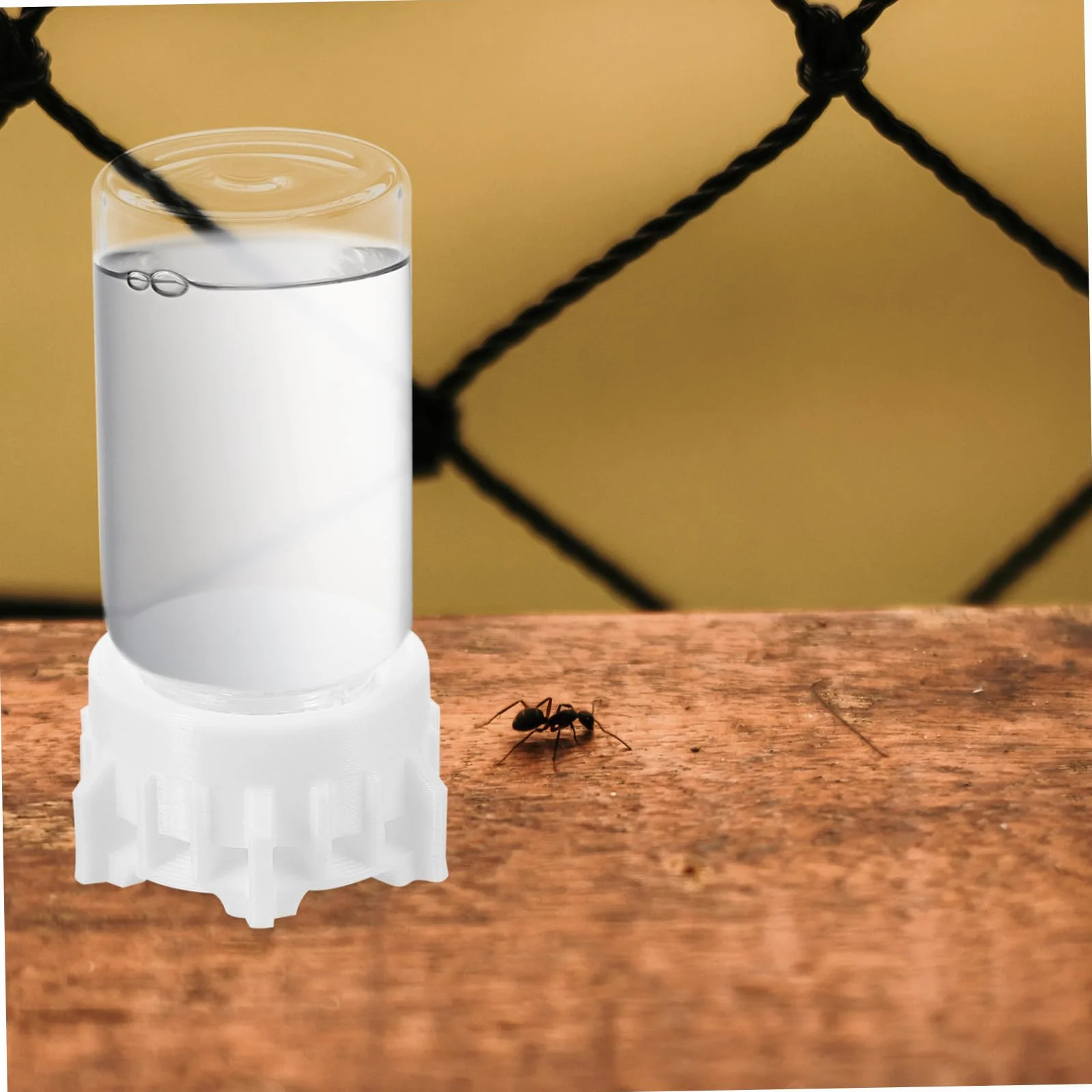 POPETPOP Bebedero para Hormigas de 20ml Diseño Profesional y Resistencia al Desgaste, Dispensador de Agua de Vidrio y Plástico Adecuado para Observación Científica en Verano