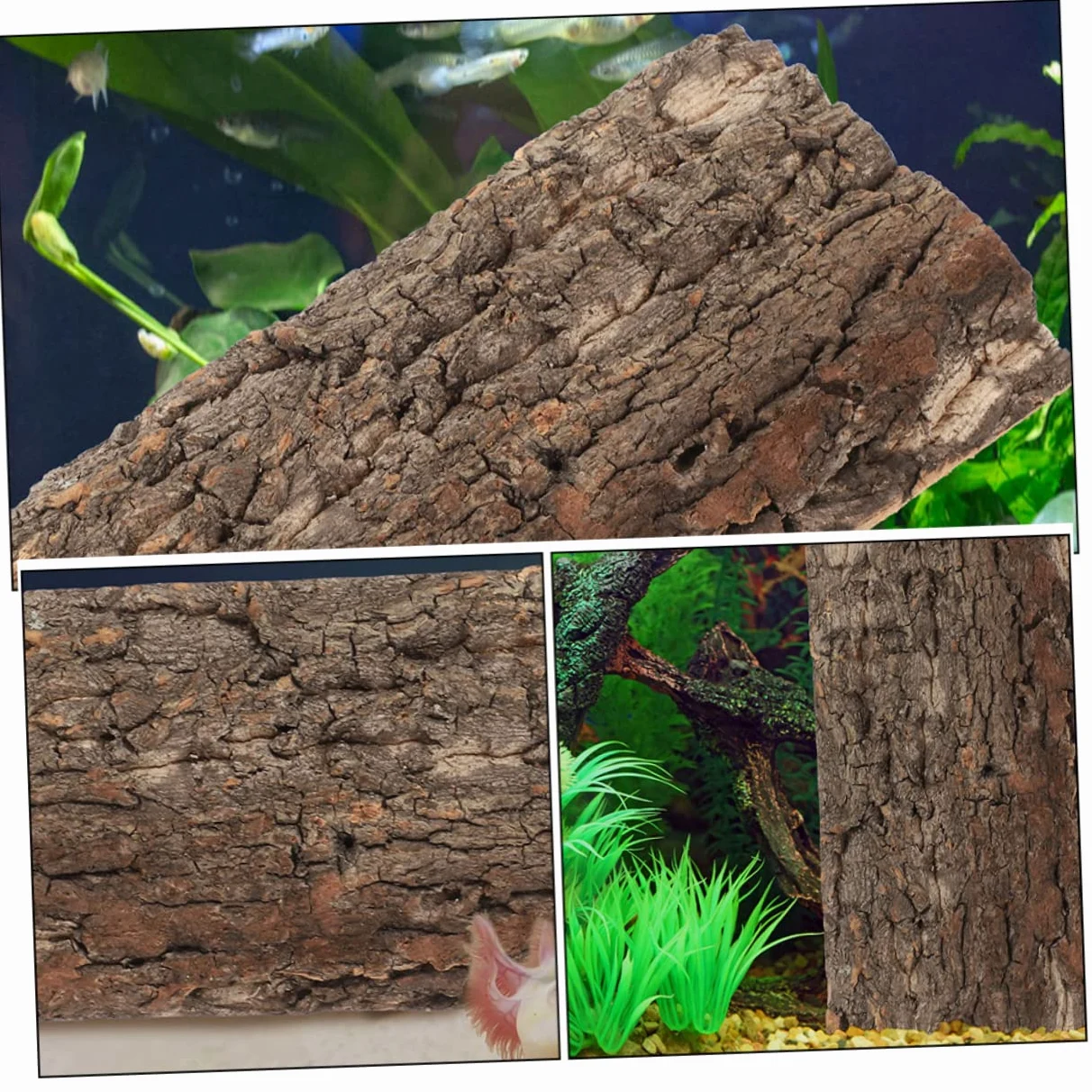 BESPORTBLE 10piezas Reptile Bark Backdrop para y Terrarios Natural De para Decoración De Peceras y Reptiles y