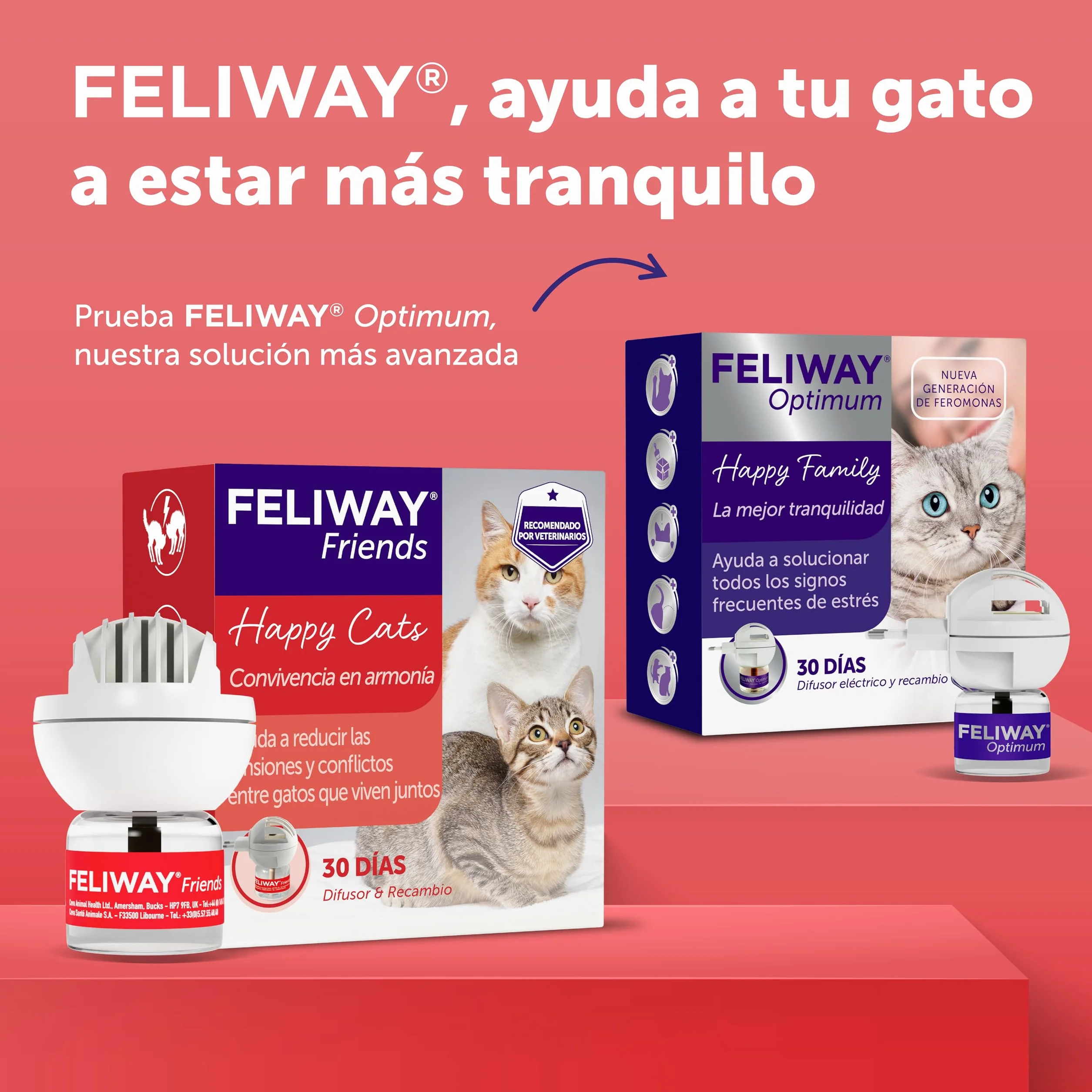 FELIWAY Friends - Difusor + Recambio de feromonas calmantes para Gatos (30 días, 48 ​​ml) - Ayuda a Crear armonía y a Reducir conflictos Entre Gatos Que Viven Juntos. Recomendado por Veterinarios