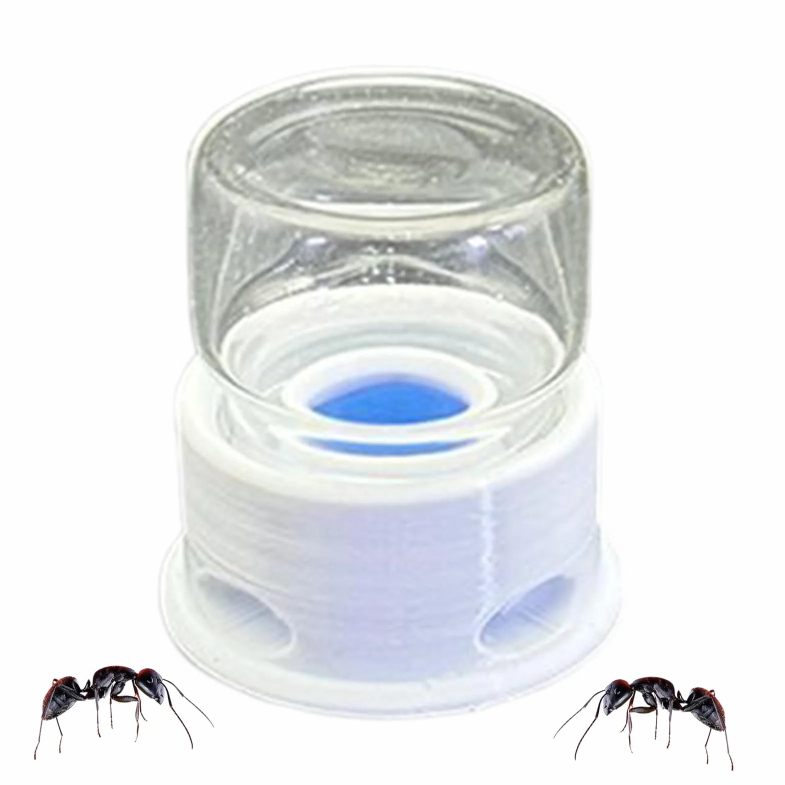 Dispensador de Agua para Hormigas - Estación de Agua para Abejas - Bebedero Transparente Antiahogamiento Hormigas, Abejas, Hogar, Aula, Exterior