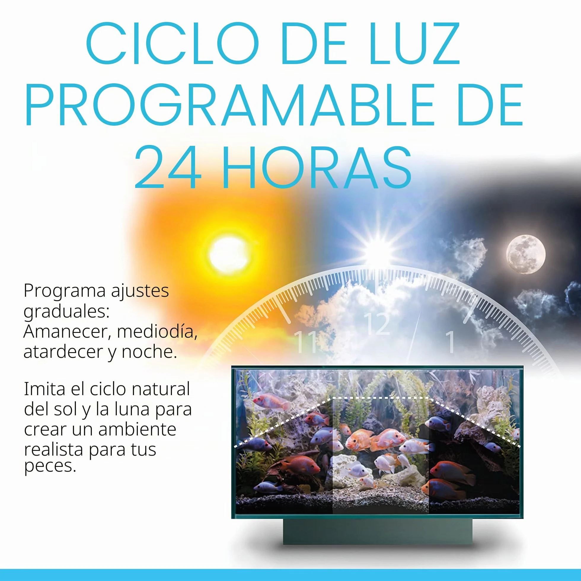 Fluval Acuarios de Vidrio, 1 Unidad 4000 g, NEGRO