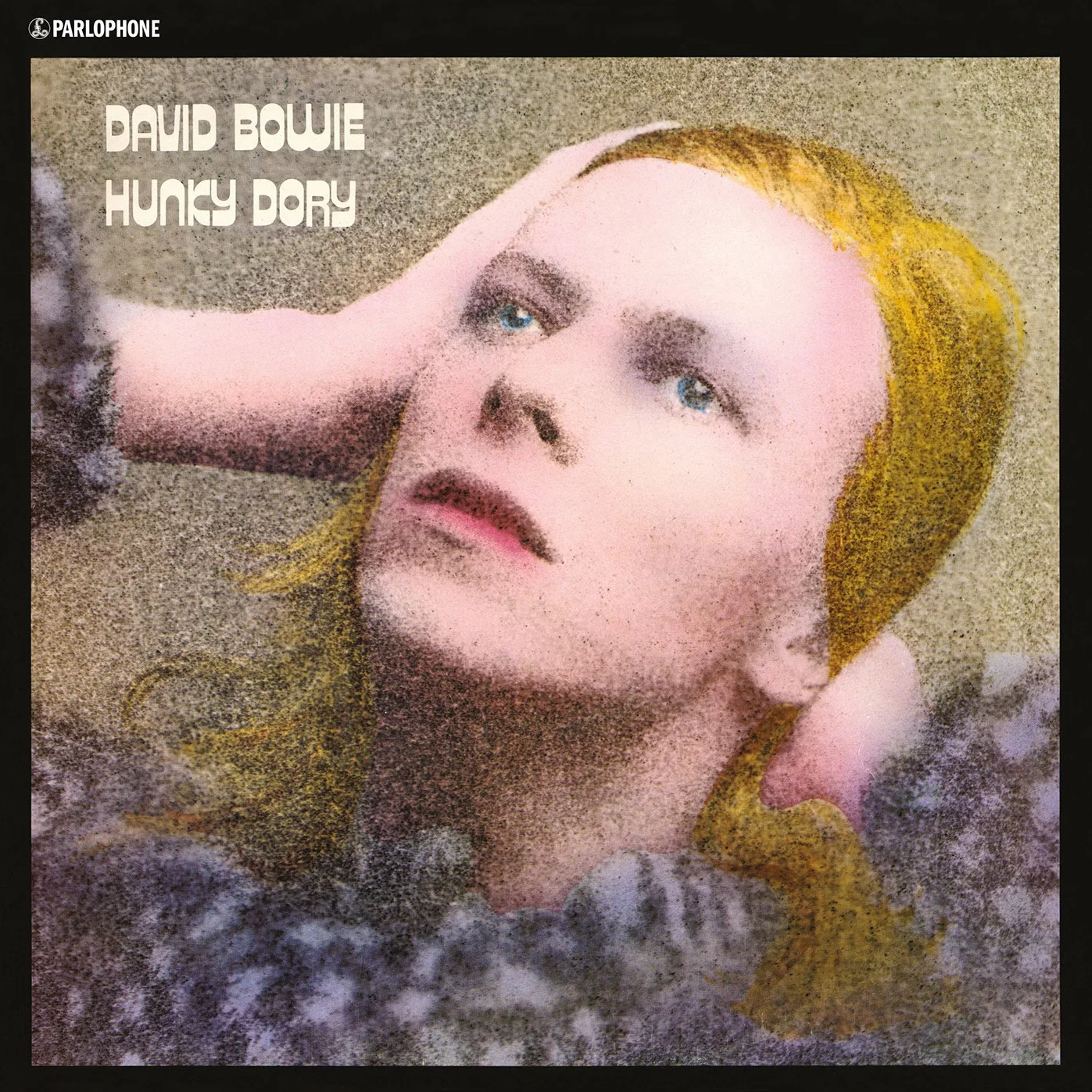 Hunky Dory