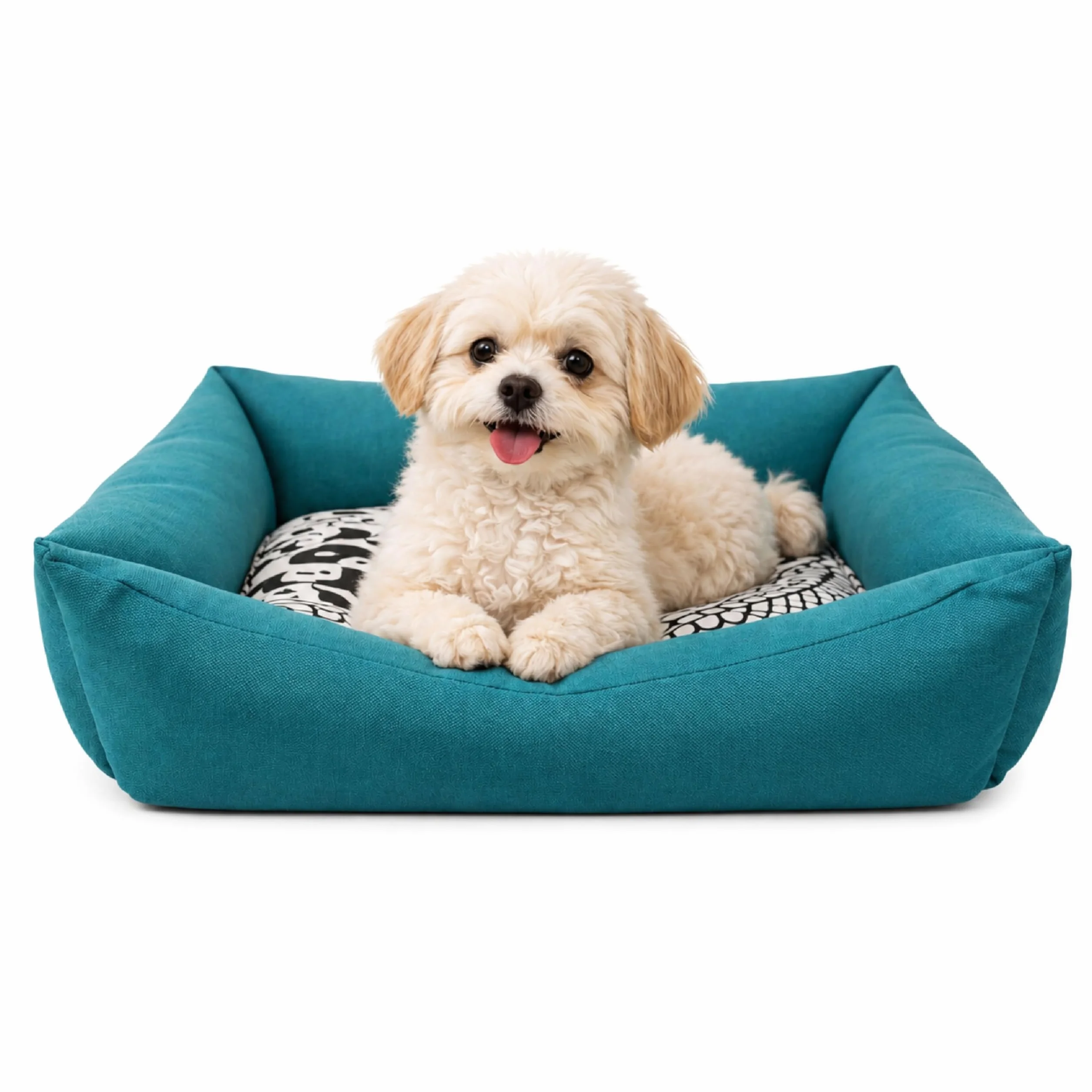Cama para Perros Pequeños DOG'S T-2 de Loneta Resistente -55x45x14 cm. Descanso Ergonómico y Relajante para tu Mascota. Sofá con Funda Extraíble Lavable con Relleno Reciclado, Azul Turquesa