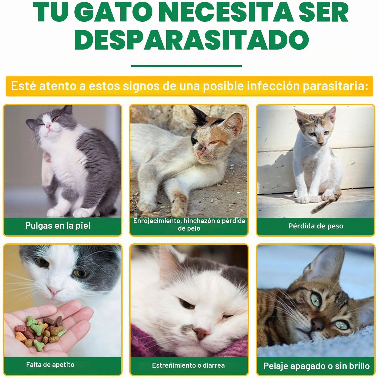Fllea Y Garrapatas Protección para Gatos Y Gatos, Gotas Naturales para Desparasitar Gatos,2 x 6 Pipetas Fllea- Y Protección contra garrapatas, Fórmula de Extracto de Garras Segura Fórmula Fórmula de