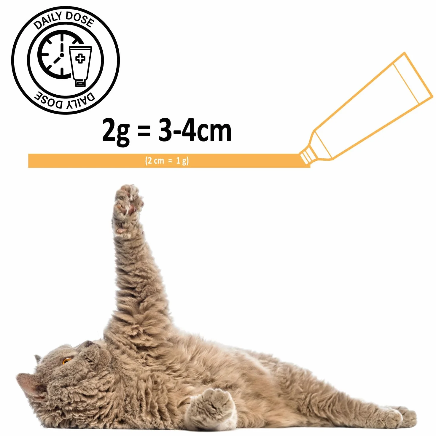 Pasta multivitamínica para gatos de 100 g – Suplemento nutricional para gatos contra bolas de pelo, con ácidos grasos omega, vitaminas A/C/E, para cuidado y digestión