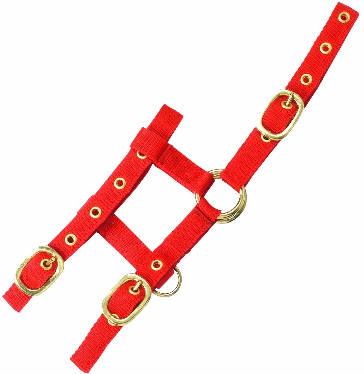 Mini cabestro ajustable rojo.