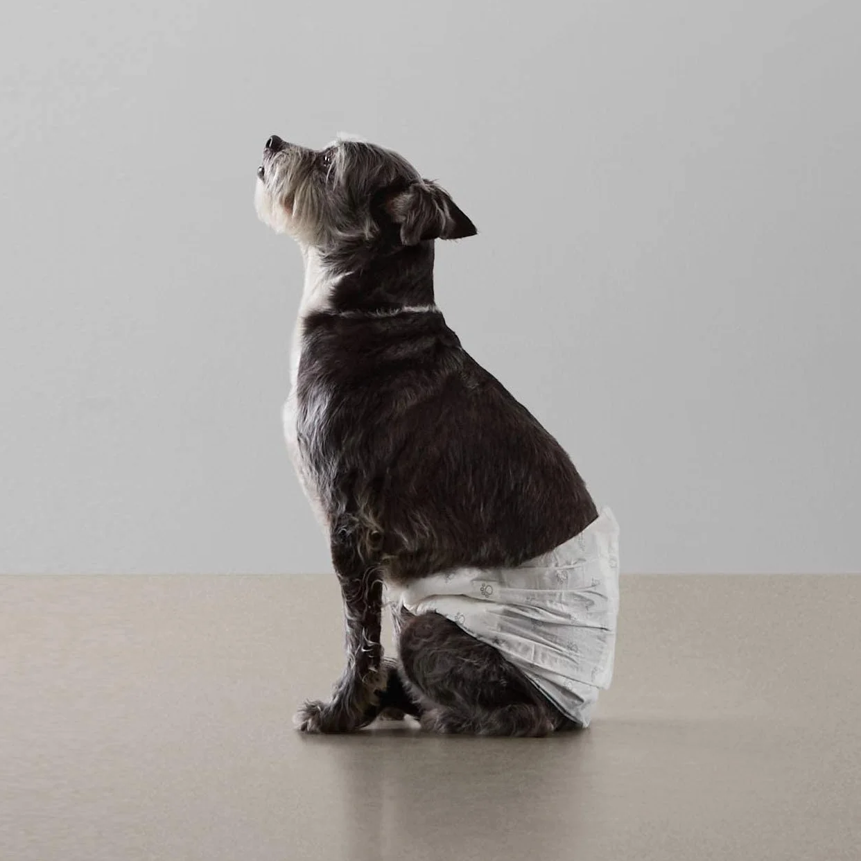 Amazon Basics Pañales Desechables para Perros Macho, Talla S, Paquete de 50, Blanco