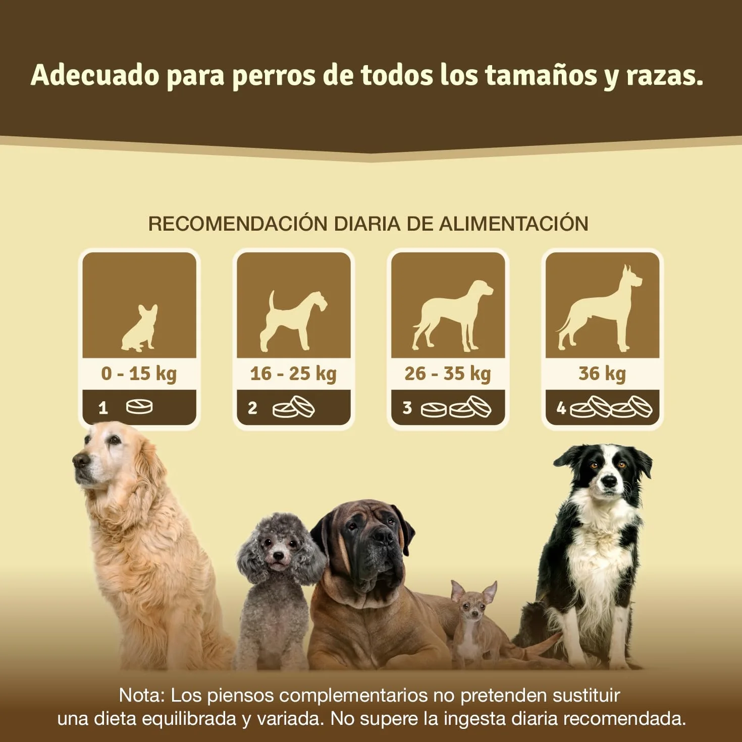 Veddelholzer condroprotector glucosamina MSM colágeno hialurón 125 cápsulas perros articulaciones